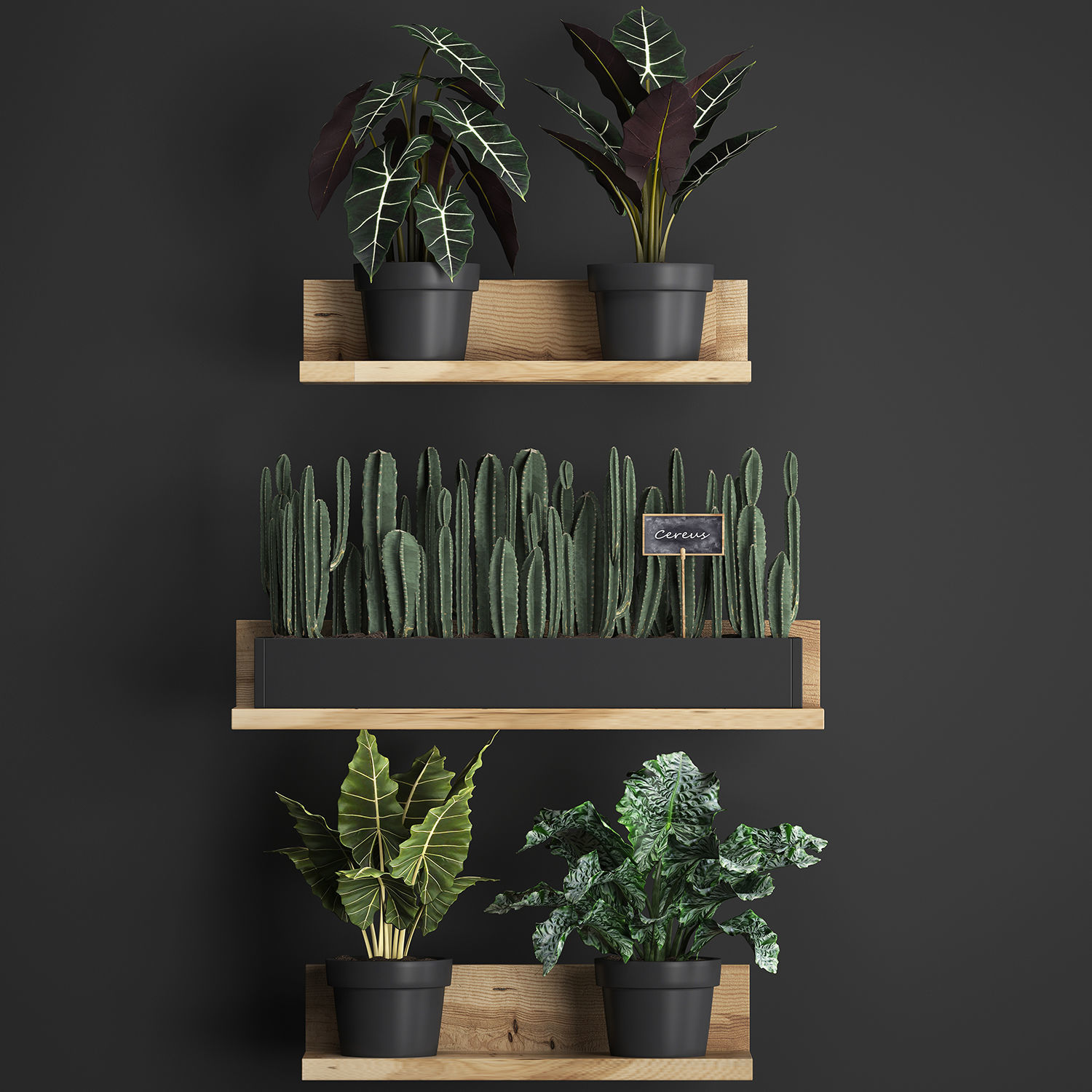 Plant set wall decor vertical garden 399 3D model_2