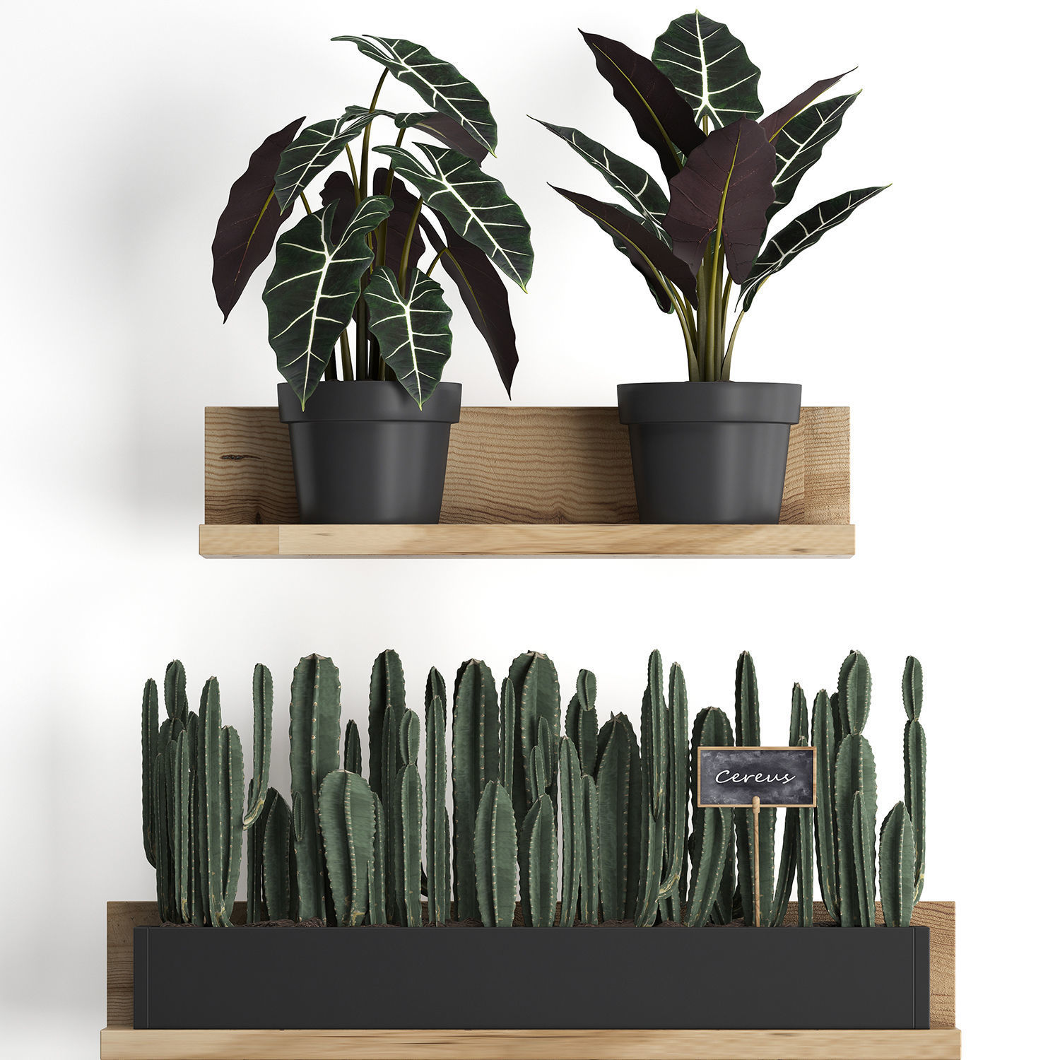 Plant set wall decor vertical garden 399 3D model_4