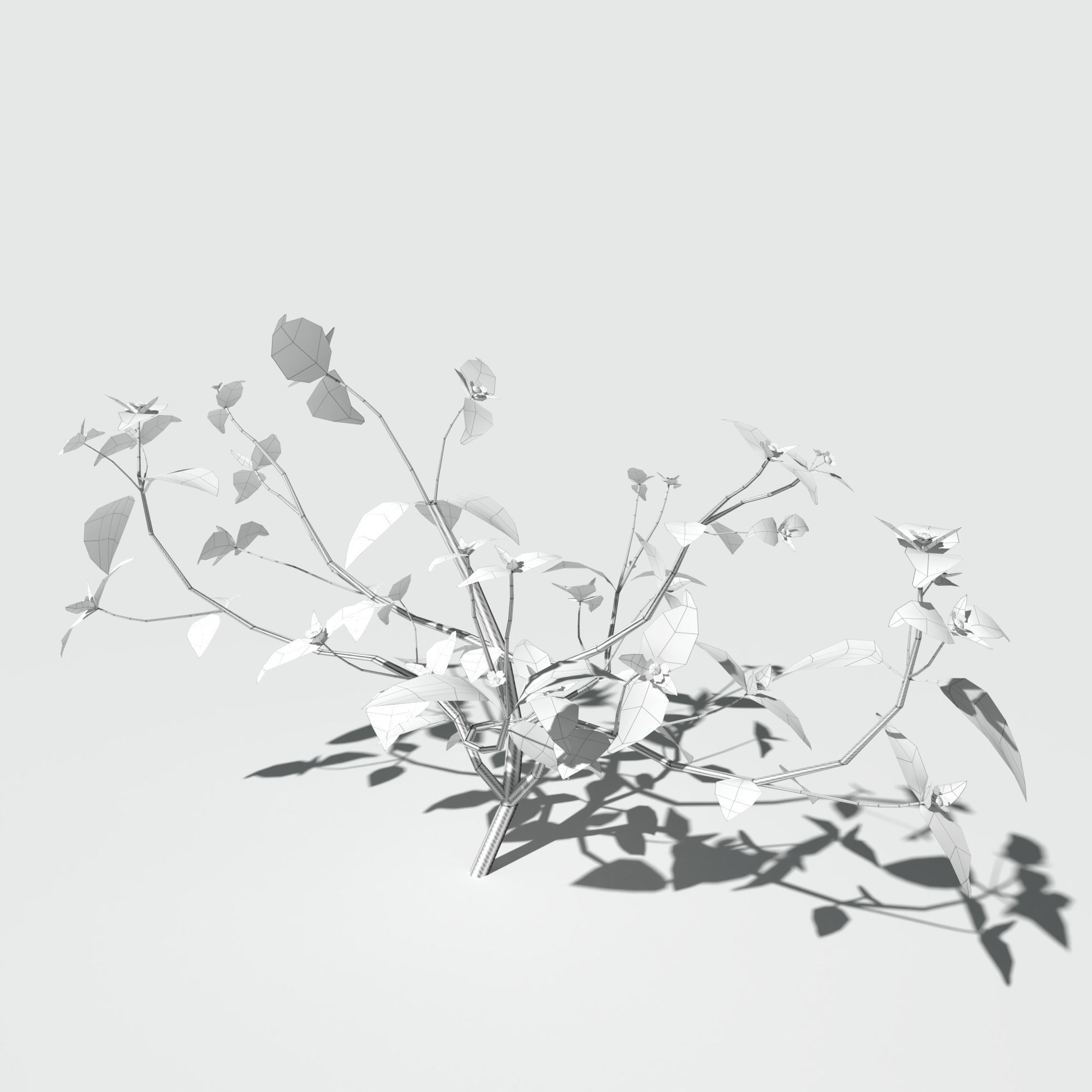 Galinsoga Pack 3D model_15