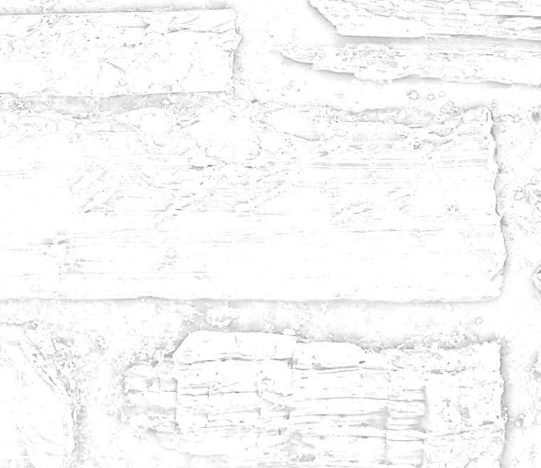 Brick 07 Texture_20