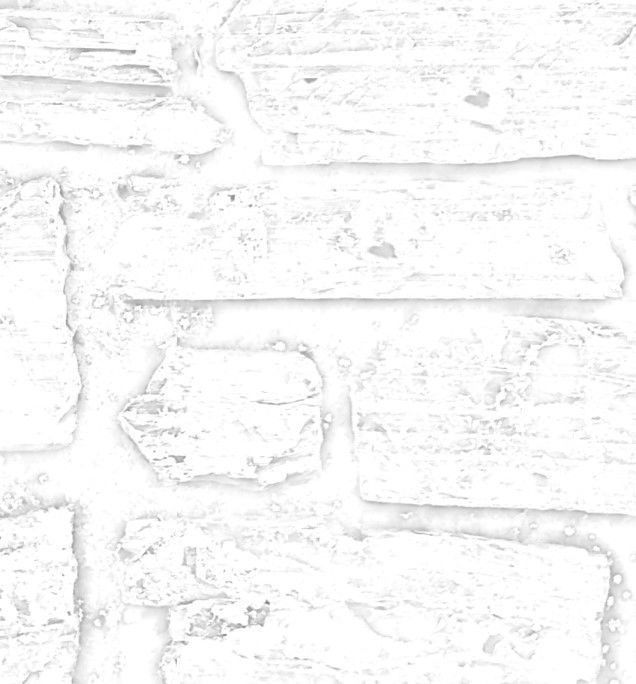 Brick 07 Texture_21