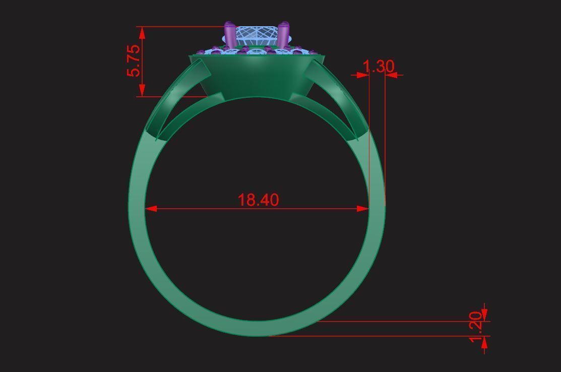 Ring 49 3D print model_10