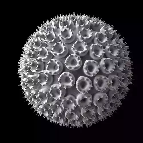 Rift Valley Fever Virus  3D print model