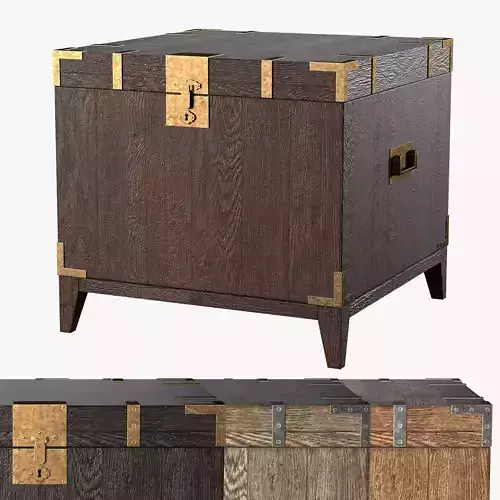 CAYDEN CAMPAIGN TRUNK SIDE TABLE