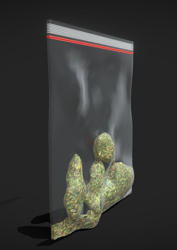 Weed Bag Low-poly 3D model_1