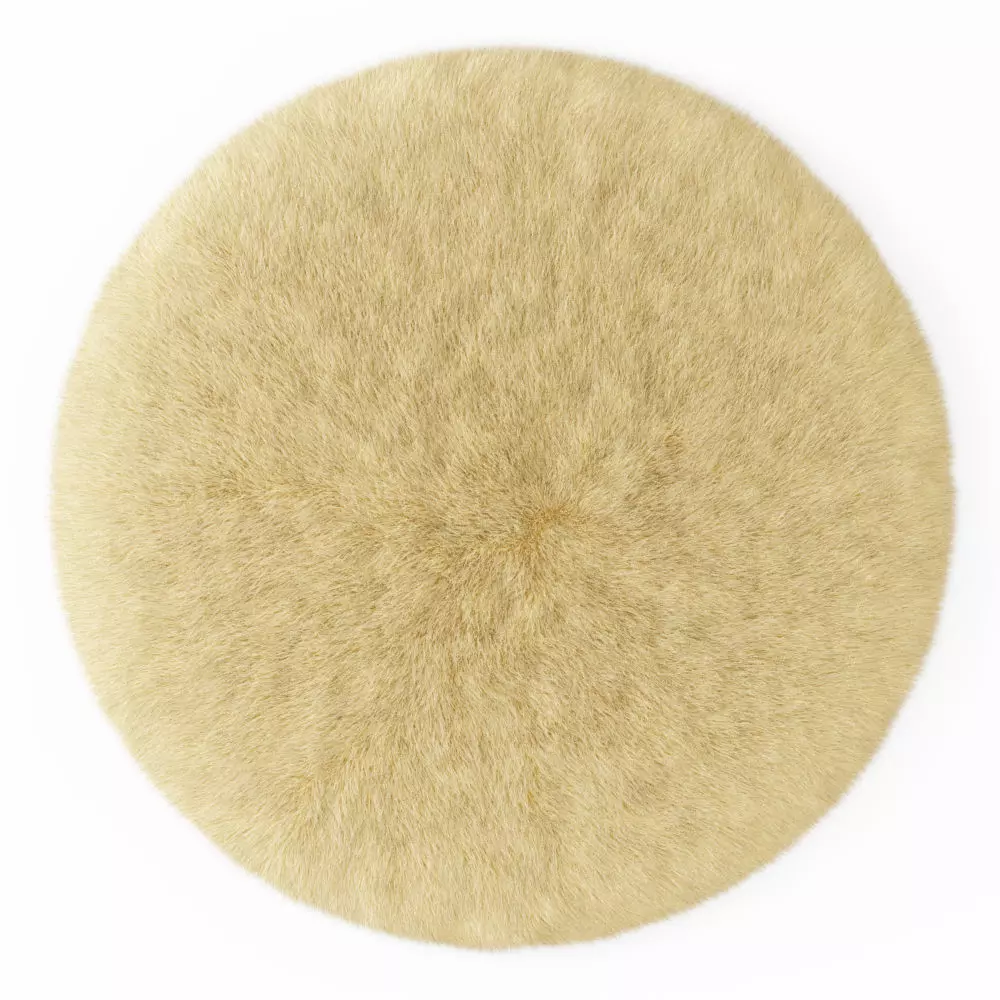 Round rug yellow 3D model_0