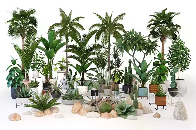 Plants tropic  3D model