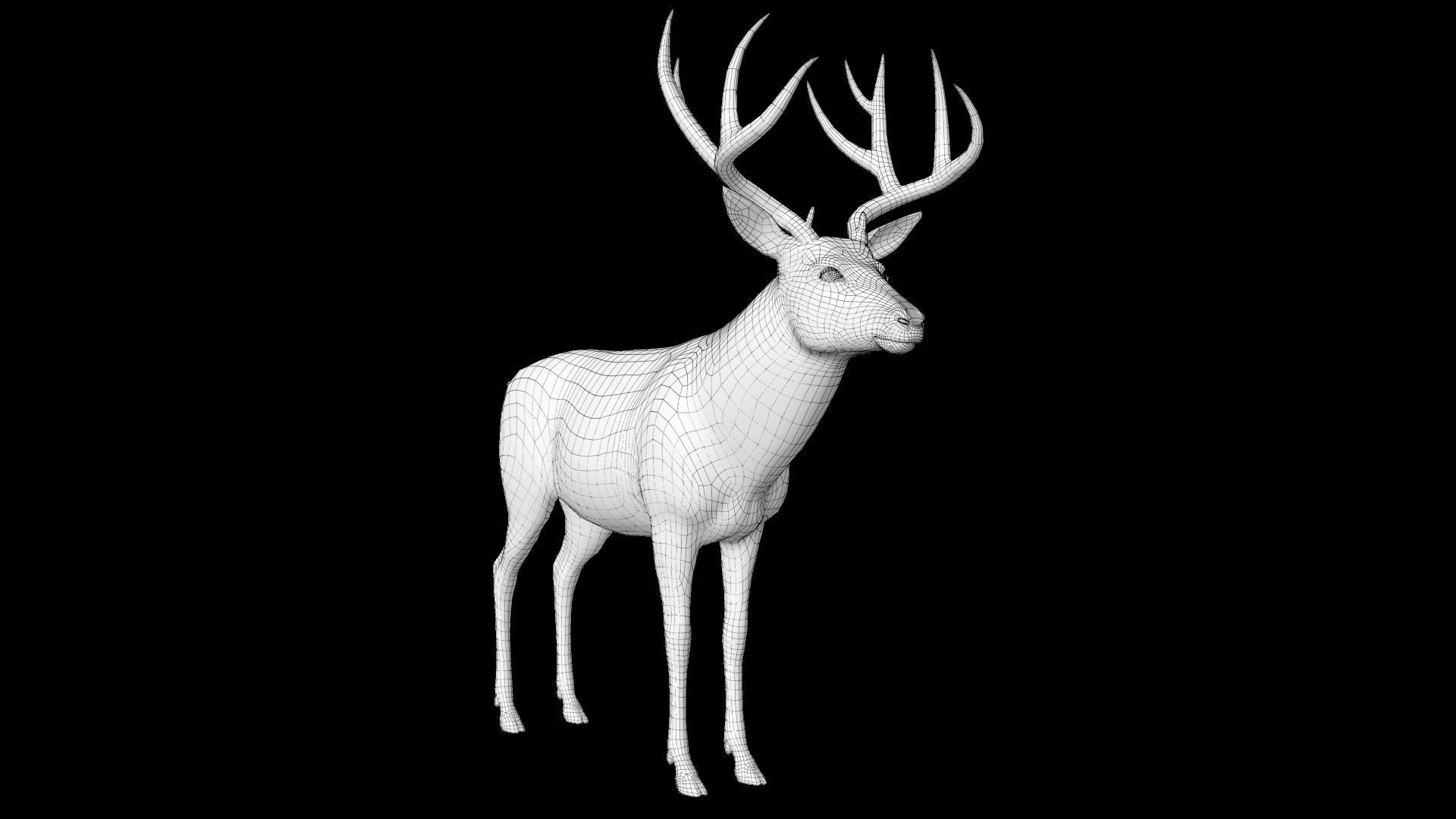 mule Deer 3D model_18