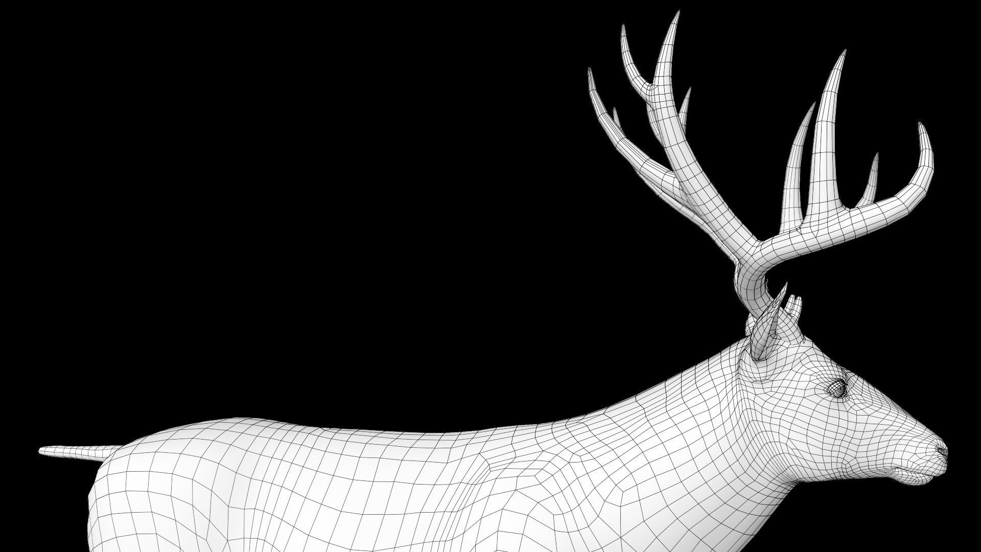 mule Deer 3D model_21