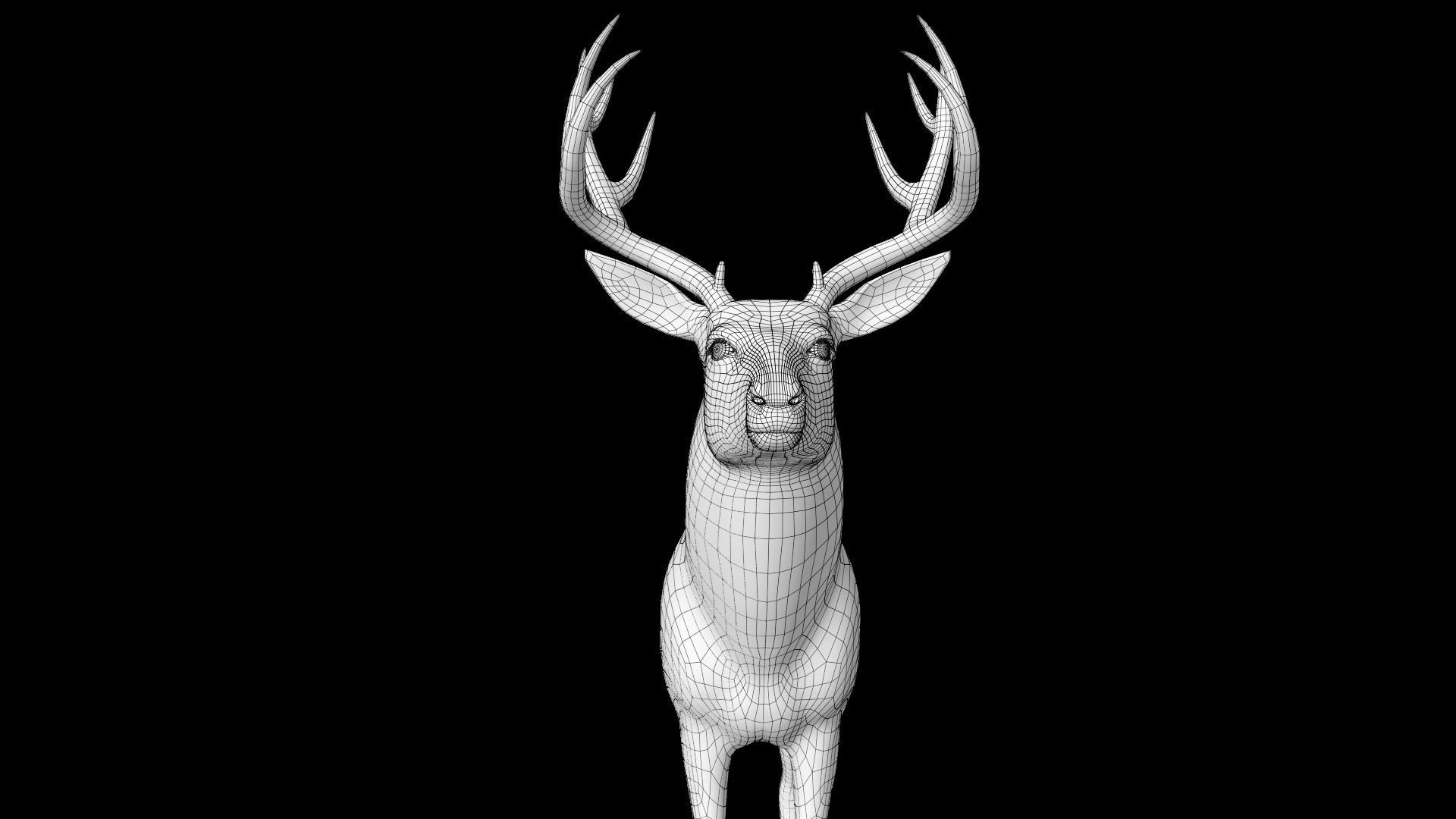mule Deer 3D model_20
