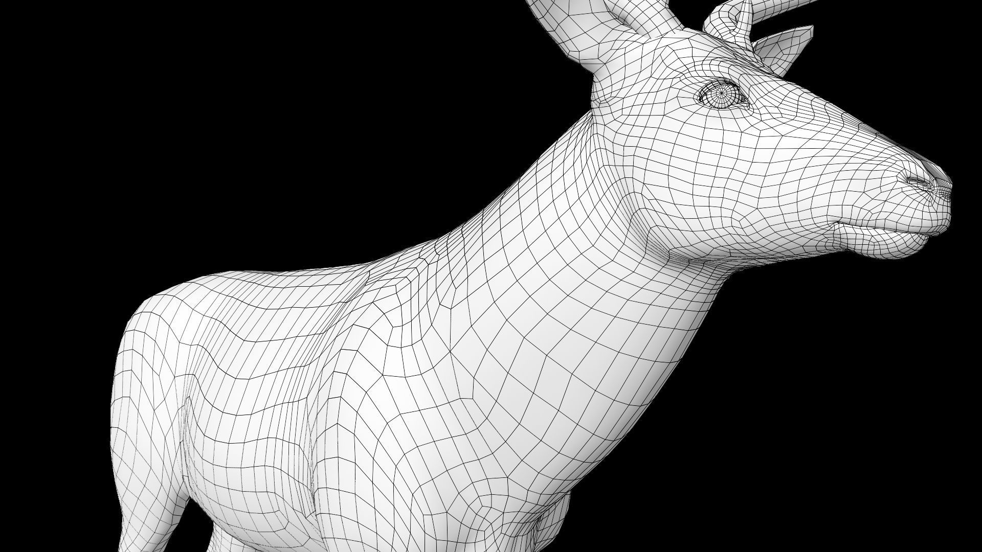 mule Deer 3D model_14