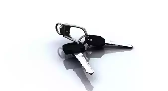 bike key 3d model