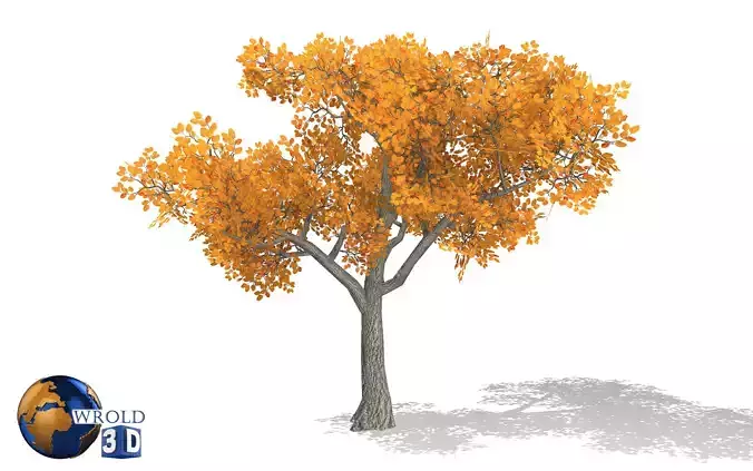 lowpoly autumn type tree 3d model Low-poly 3D model