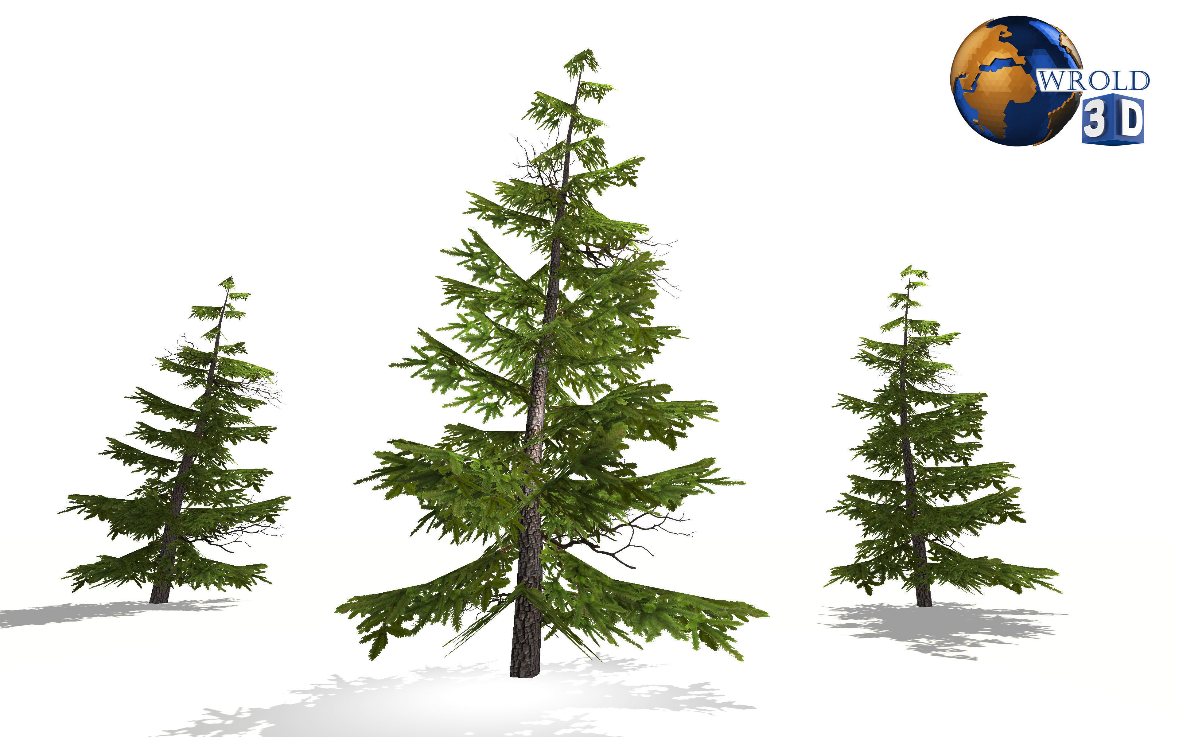 Pine Tree Lowpoly 3d Model Low-poly 3D model_2