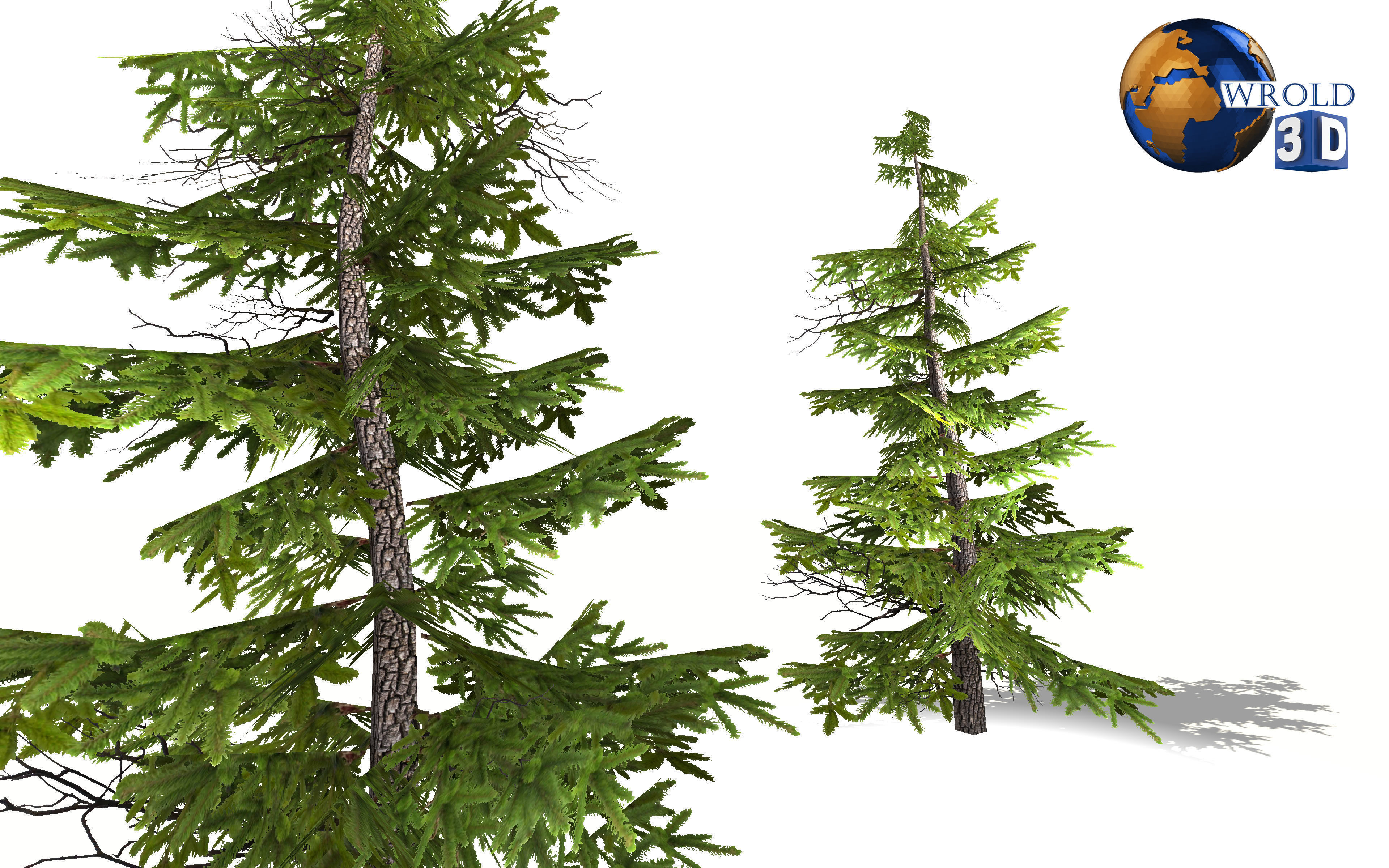 Pine Tree Lowpoly 3d Model Low-poly 3D model_1