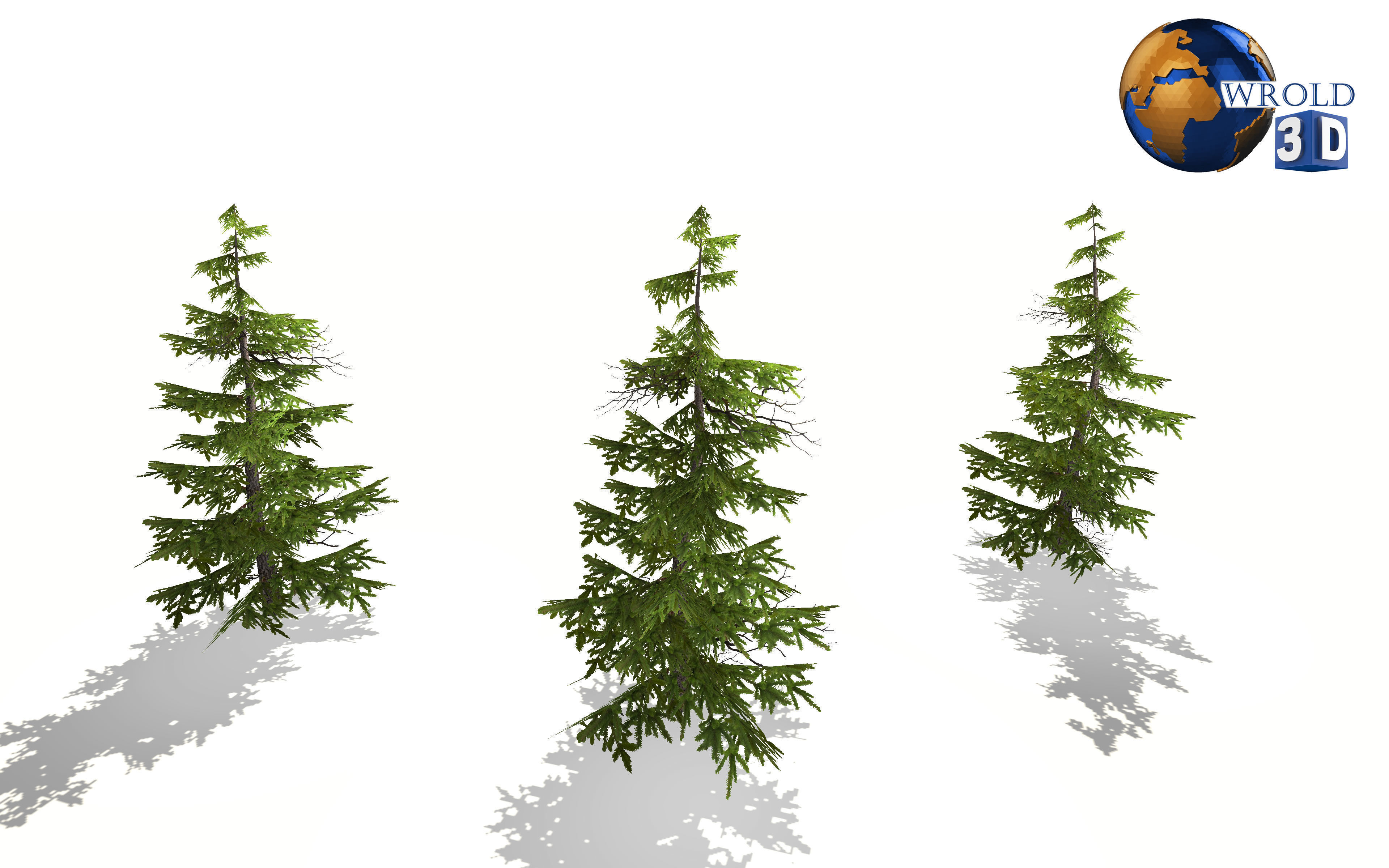 Pine Tree Lowpoly 3d Model Low-poly 3D model_3