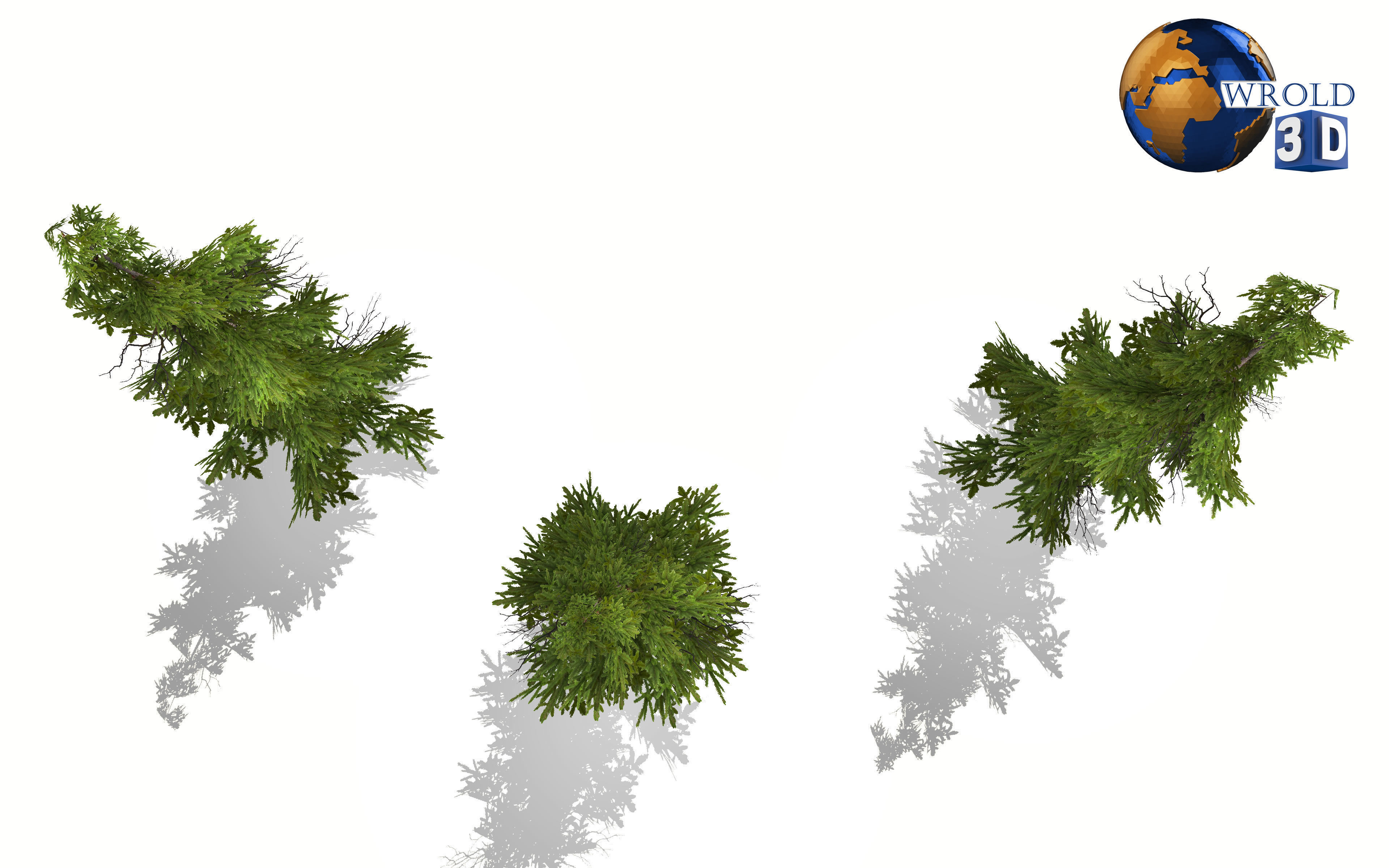 Pine Tree Lowpoly 3d Model Low-poly 3D model_4