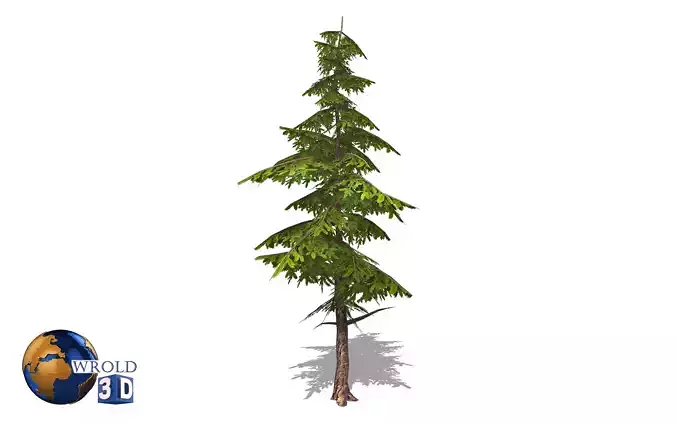 lowpoly pine tree 3d model Low-poly 3D model