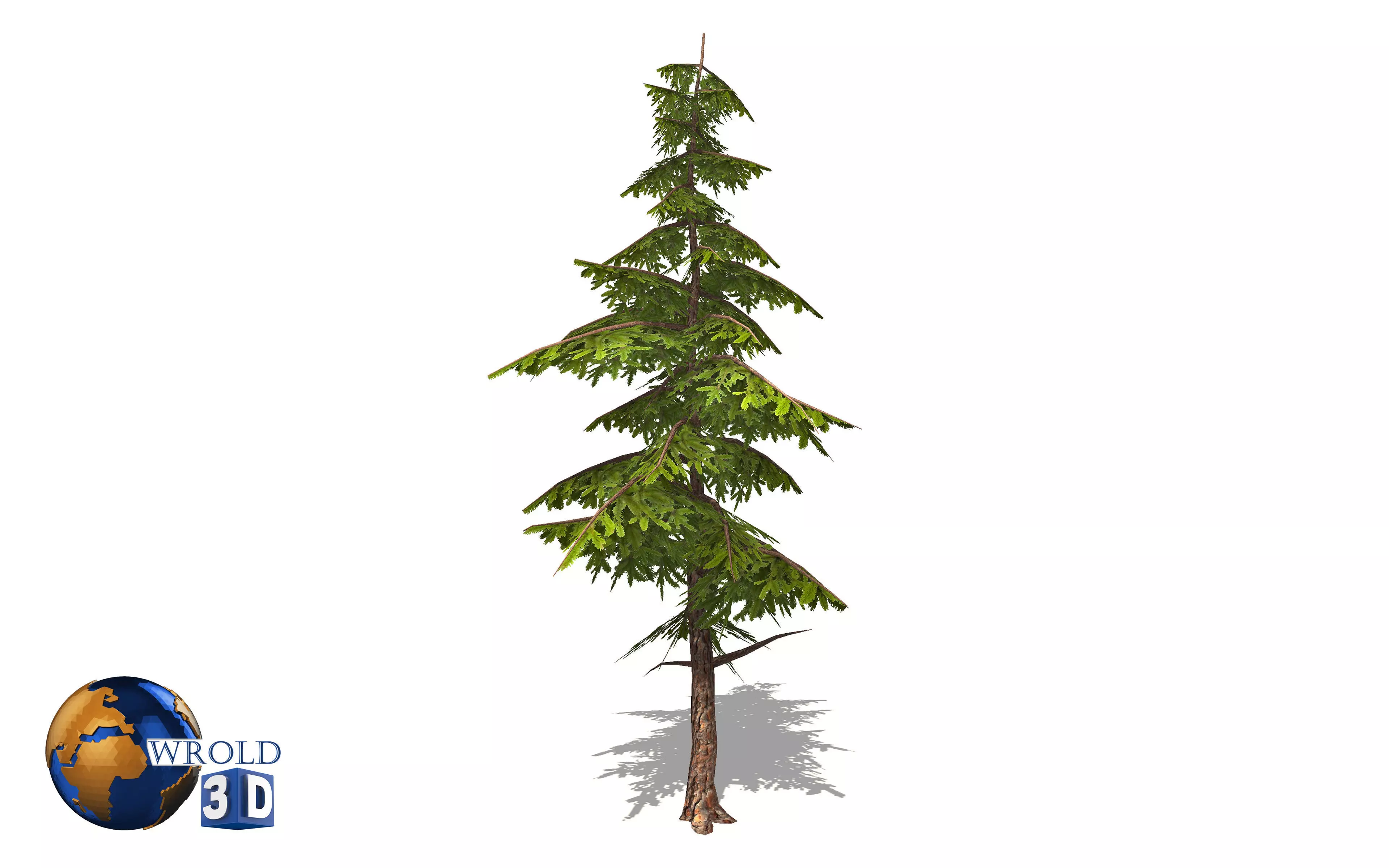 lowpoly pine tree 3d model Low-poly 3D model_0