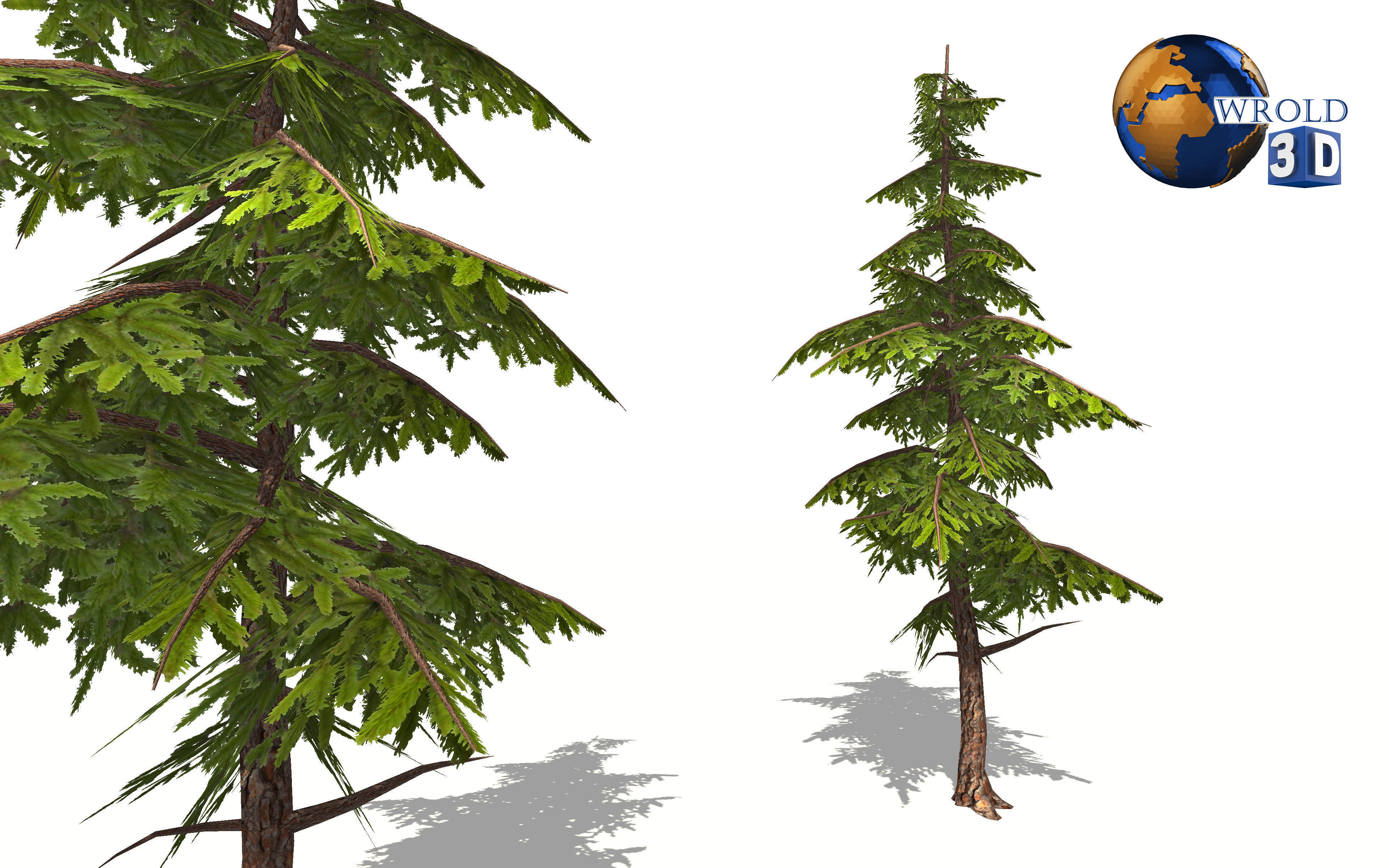 lowpoly pine tree 3d model Low-poly 3D model_1