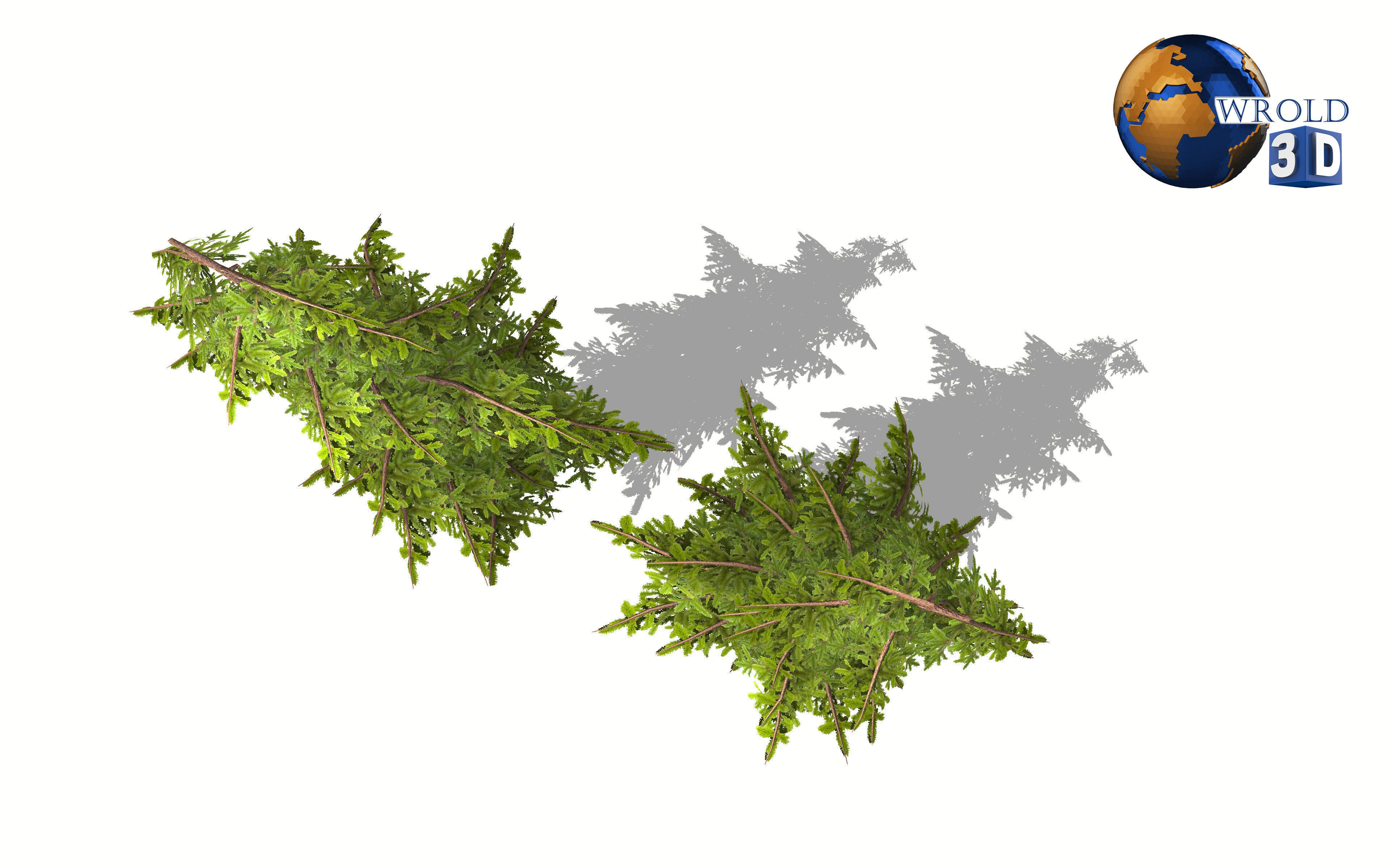 lowpoly pine tree 3d model Low-poly 3D model_3