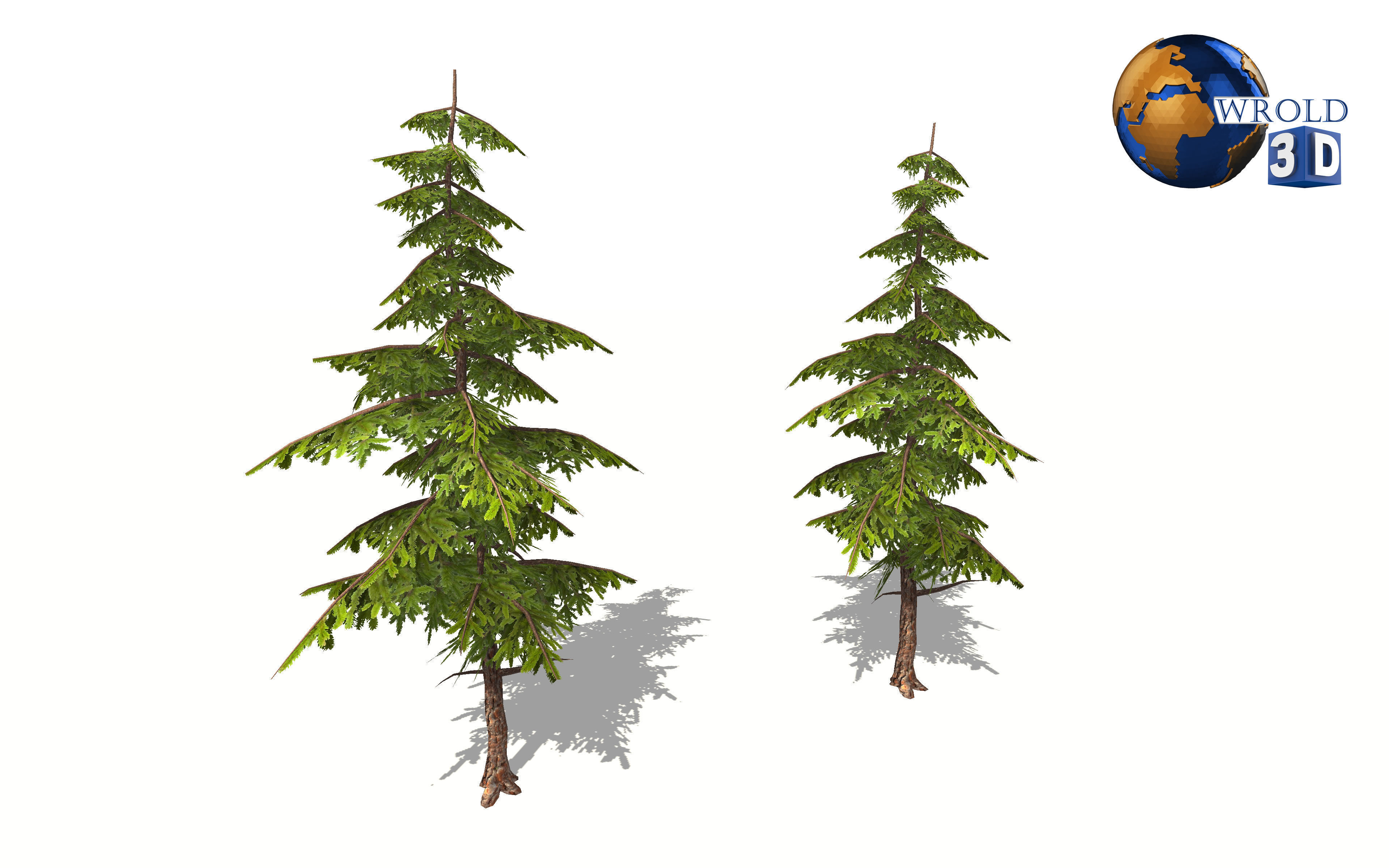lowpoly pine tree 3d model Low-poly 3D model_2