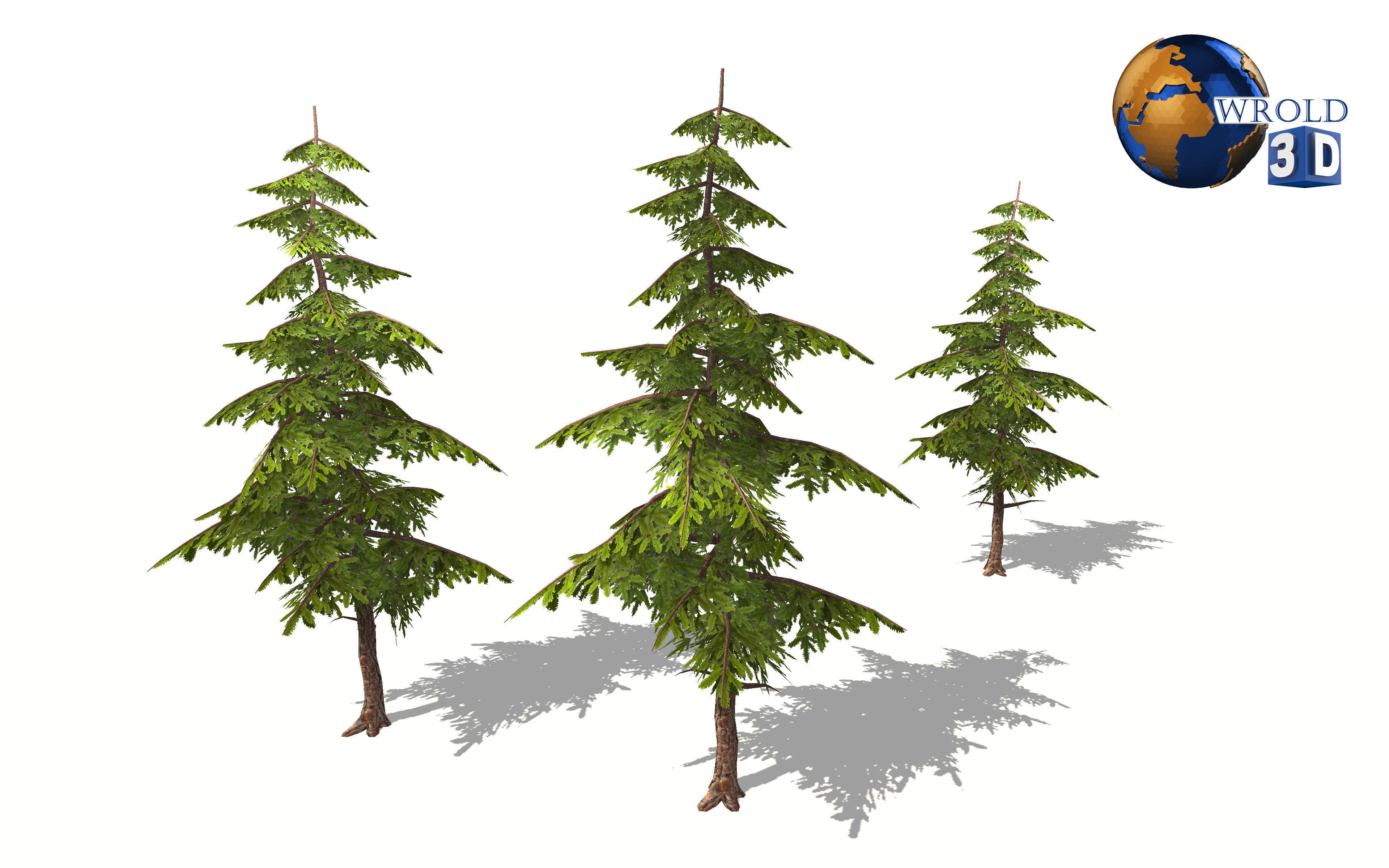 lowpoly pine tree 3d model Low-poly 3D model_4