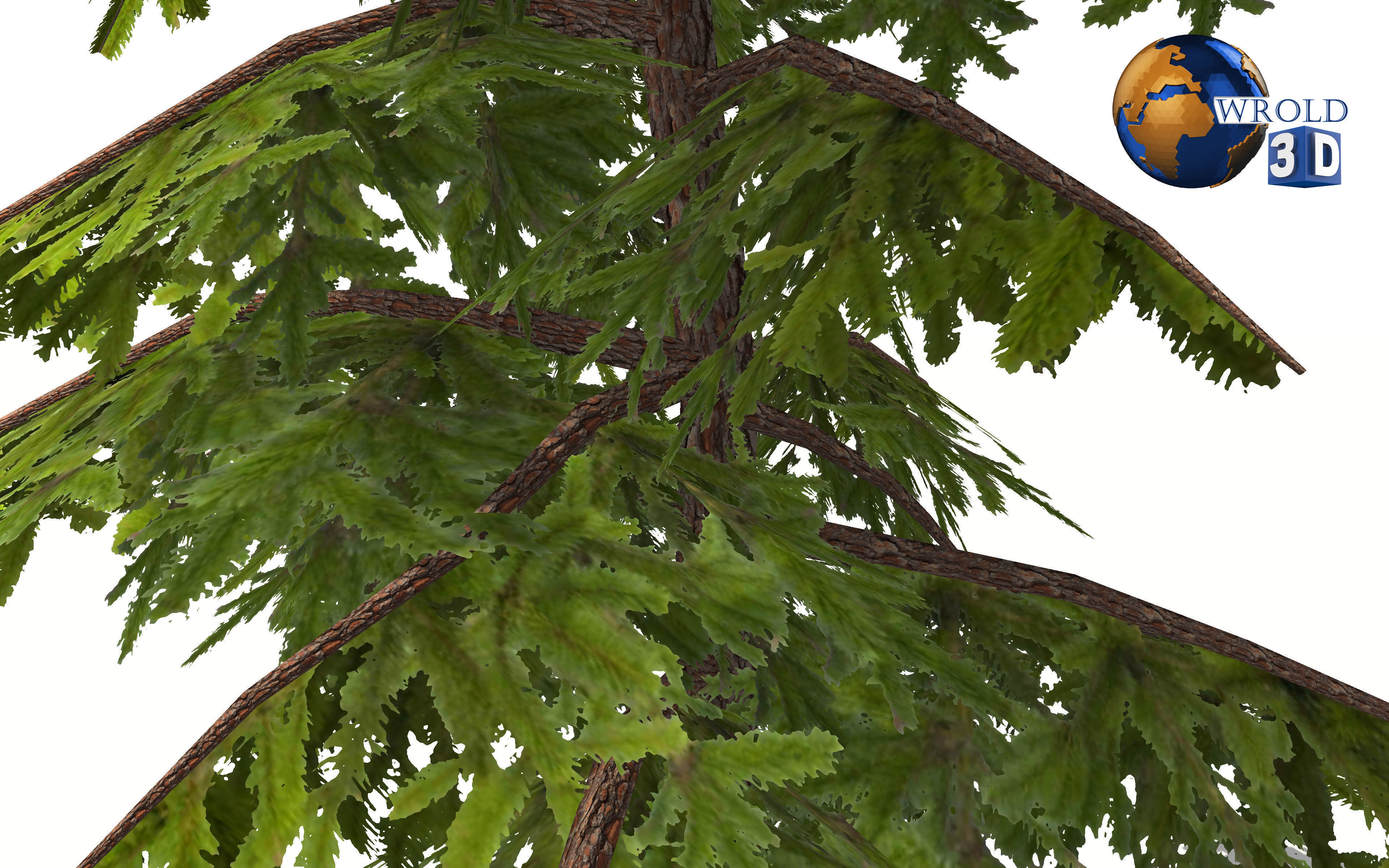 lowpoly pine tree 3d model Low-poly 3D model_5