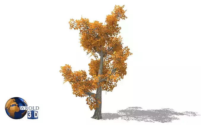 forest tree lowpoly 3d model Low-poly 3D model