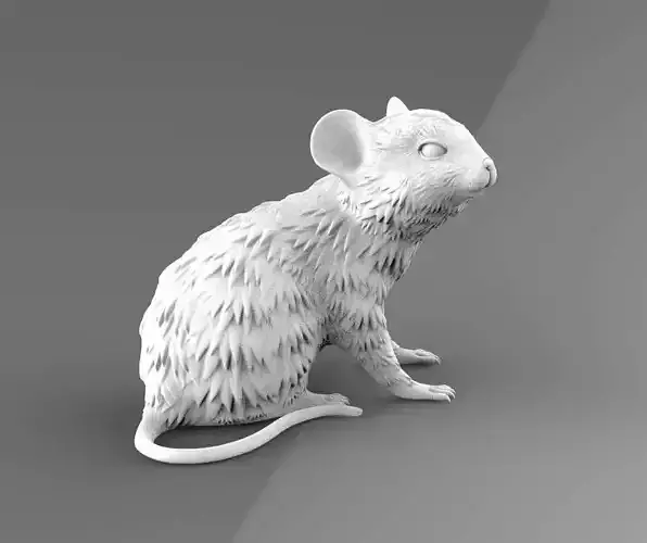 mouse rat 3D print model