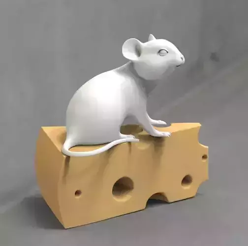 mouse on piece of cheese