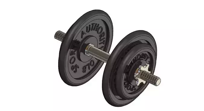 30 pounds DumbBells 3D model