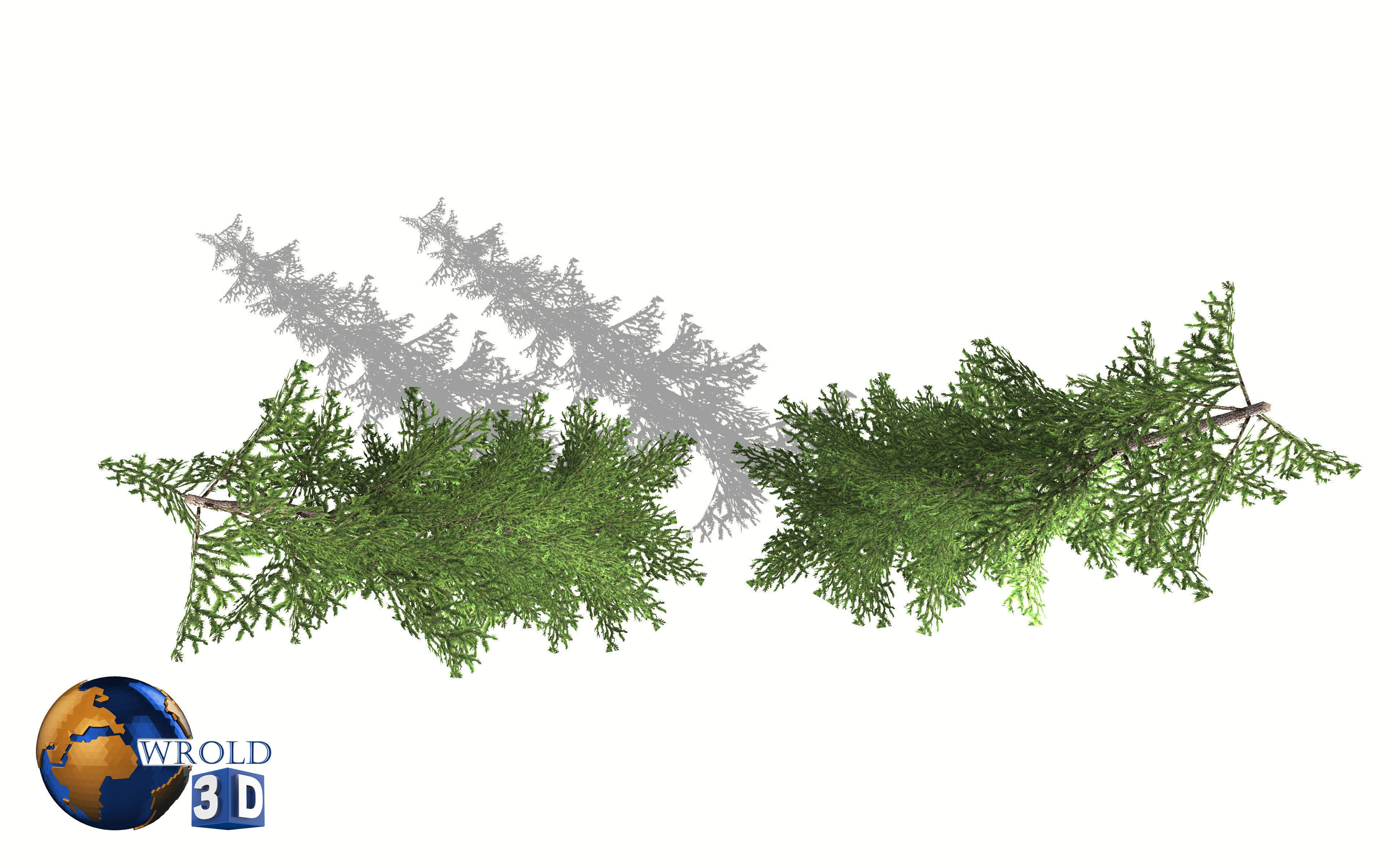 pine tree 3d model Low-poly 3D model_3