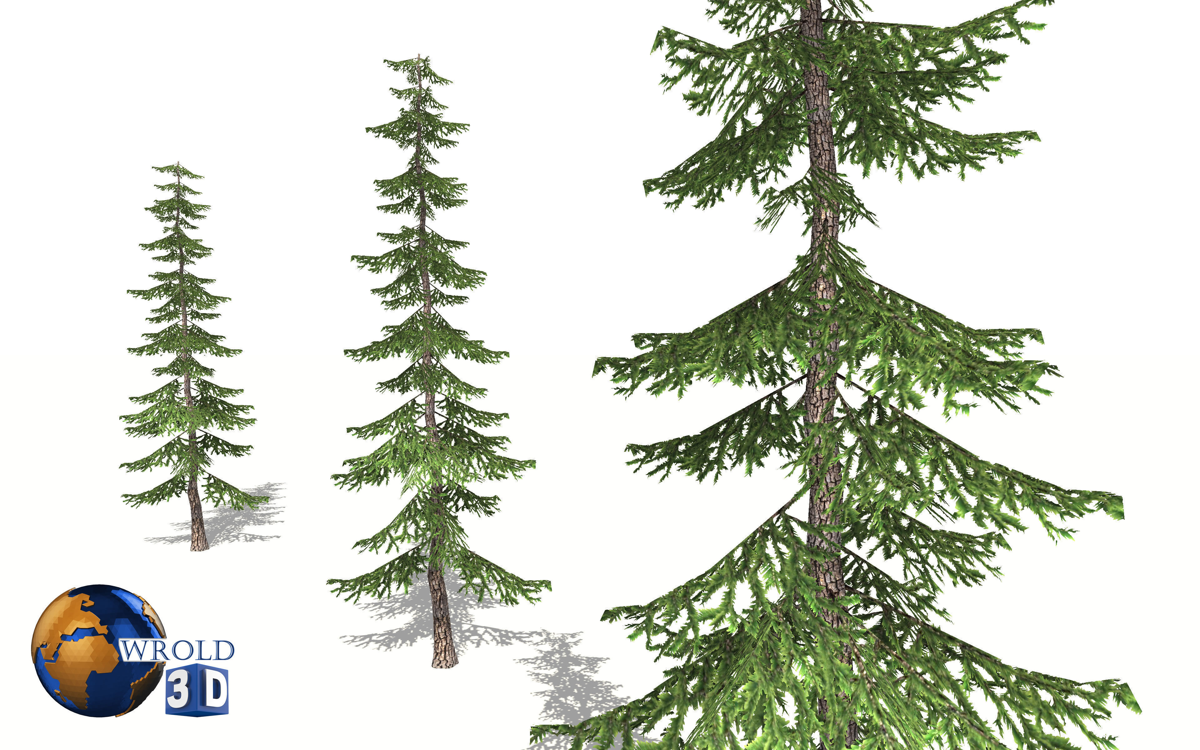 pine tree 3d model Low-poly 3D model_2