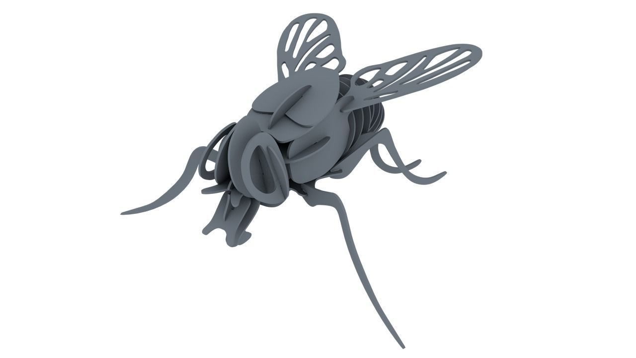 FLY MOSCA 3D print model_3