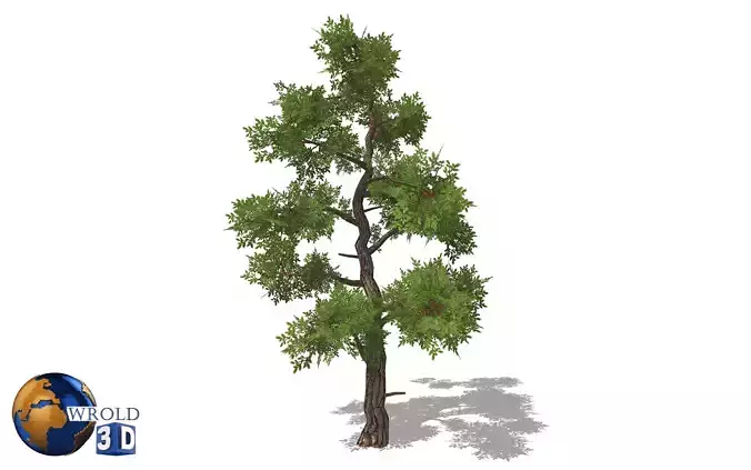lowpoly forest trees 3d model Low-poly 3D model