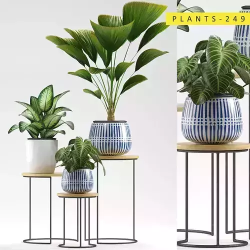 Plants 249