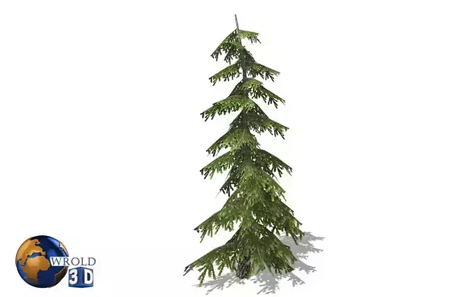 realistic pine tree lowpoly 3d model Low-poly 3D model