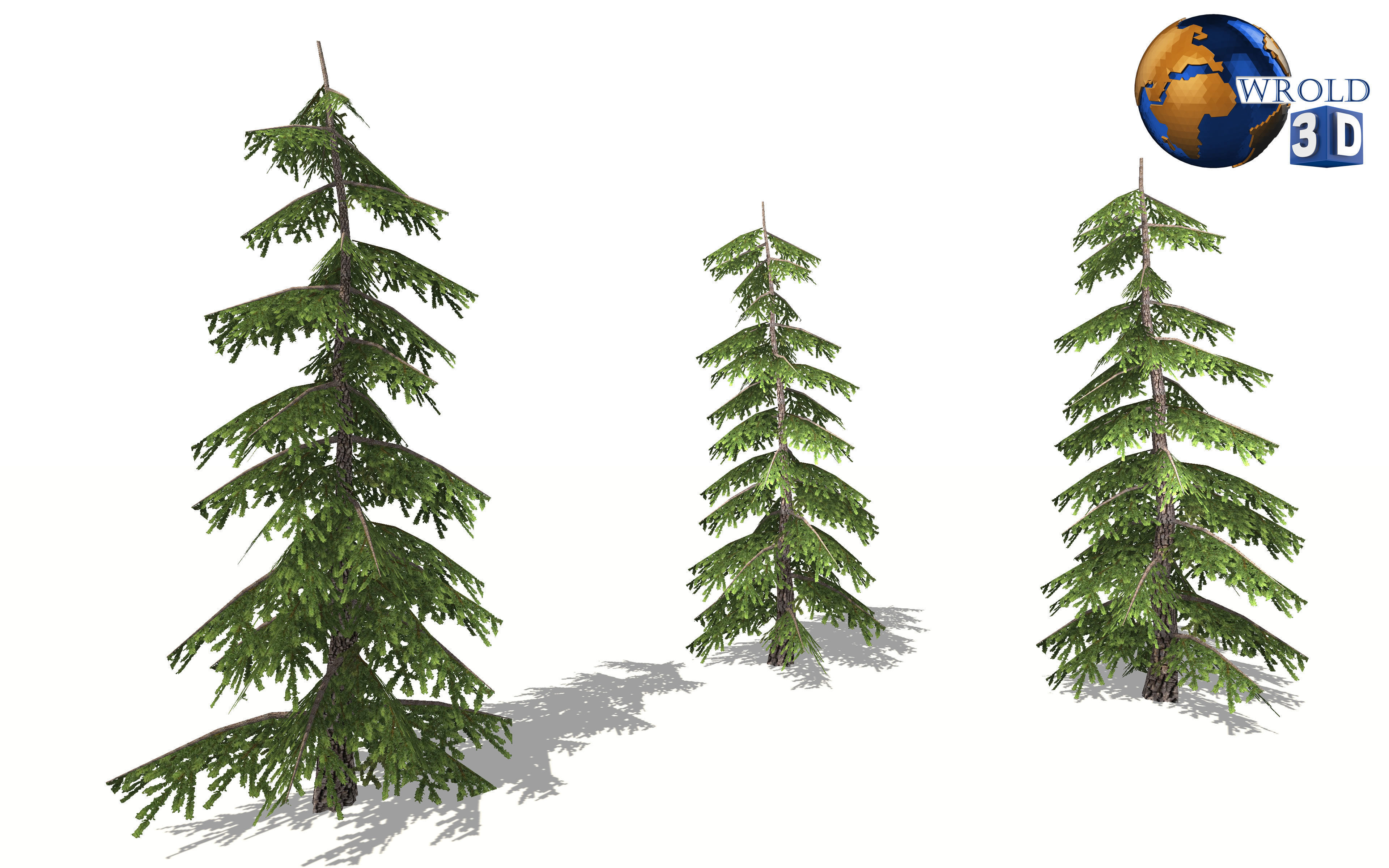 realistic pine tree lowpoly 3d model Low-poly 3D model_2