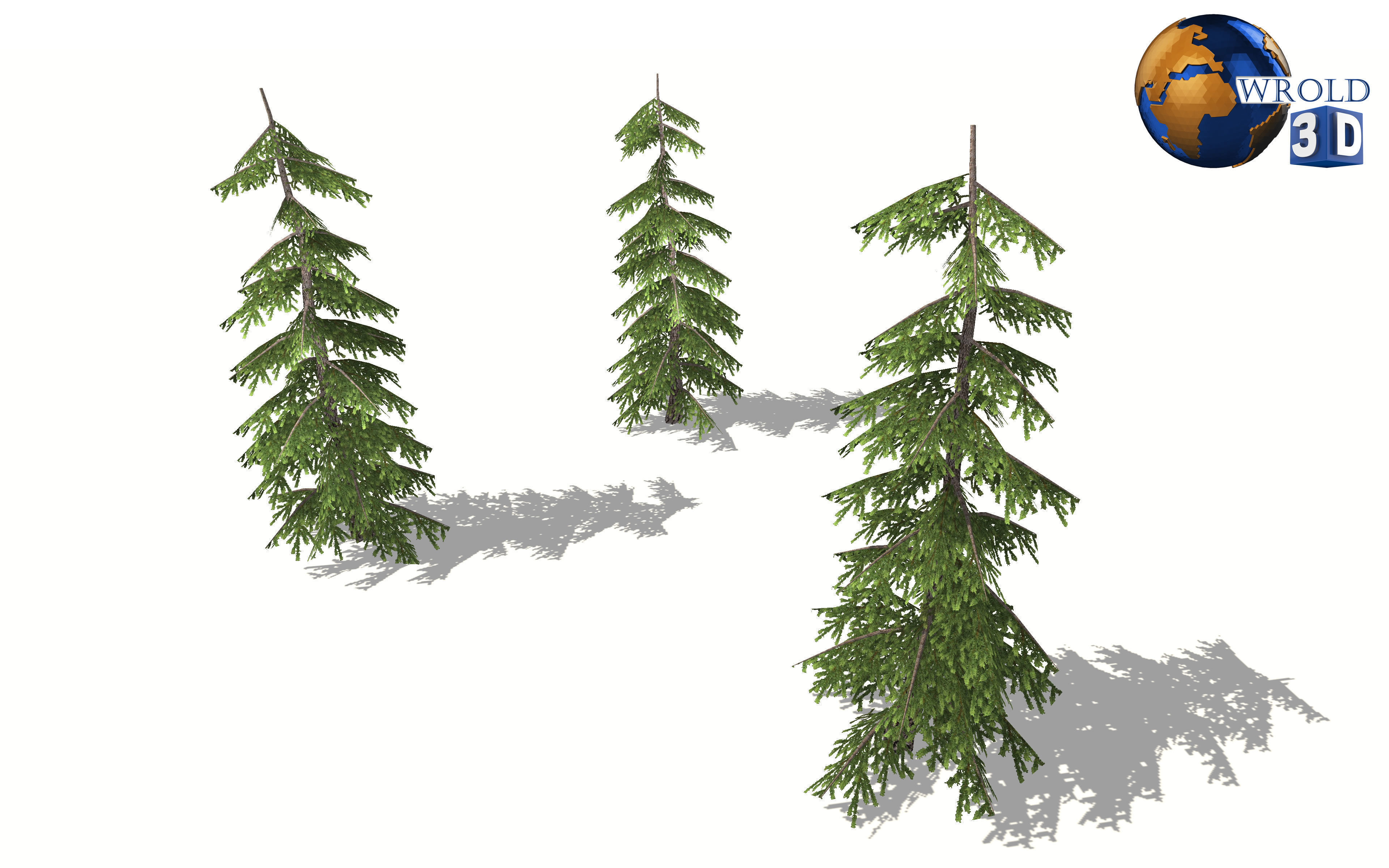 realistic pine tree lowpoly 3d model Low-poly 3D model_4