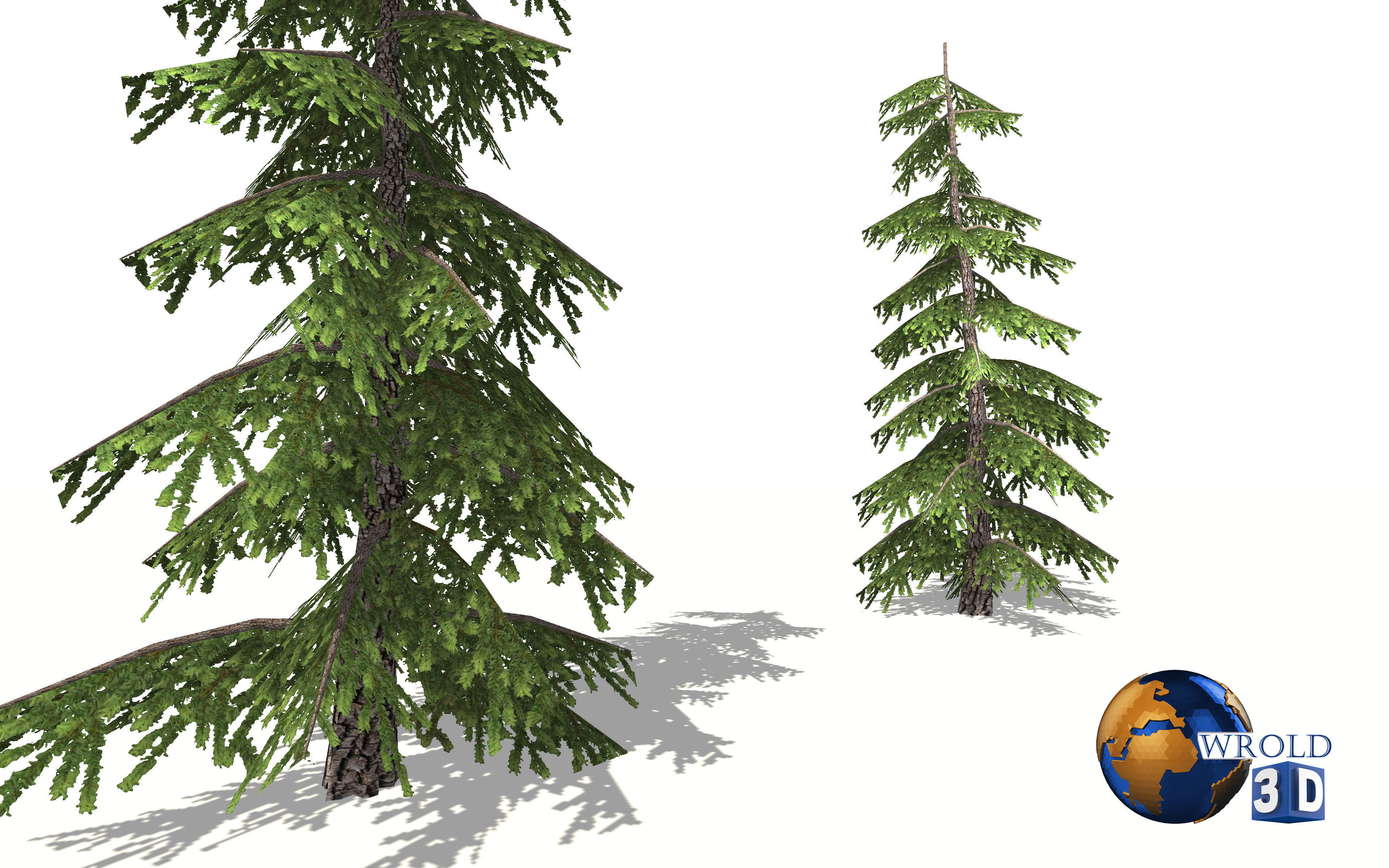 realistic pine tree lowpoly 3d model Low-poly 3D model_1