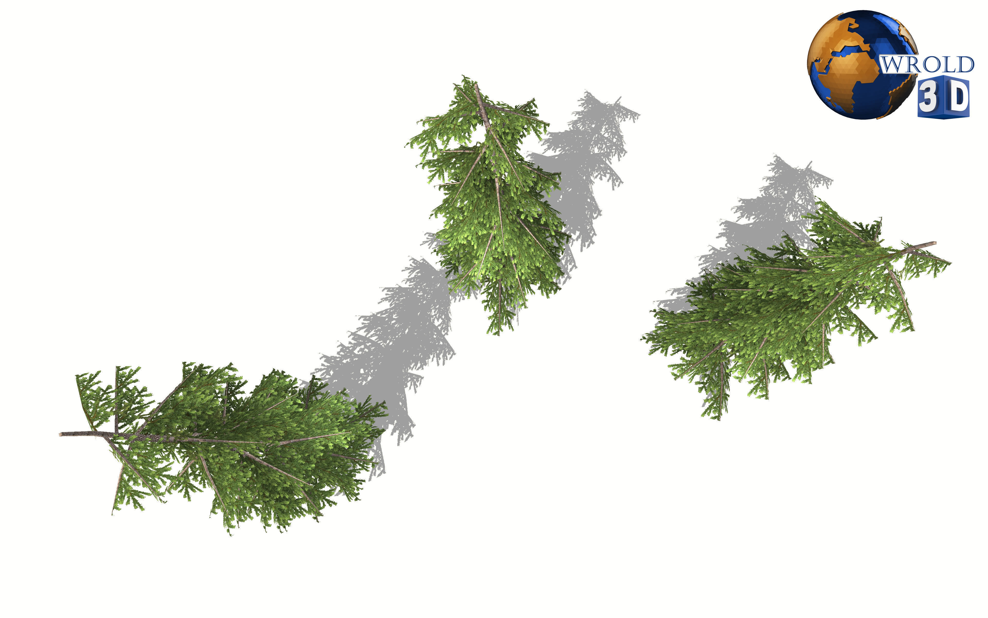realistic pine tree lowpoly 3d model Low-poly 3D model_3