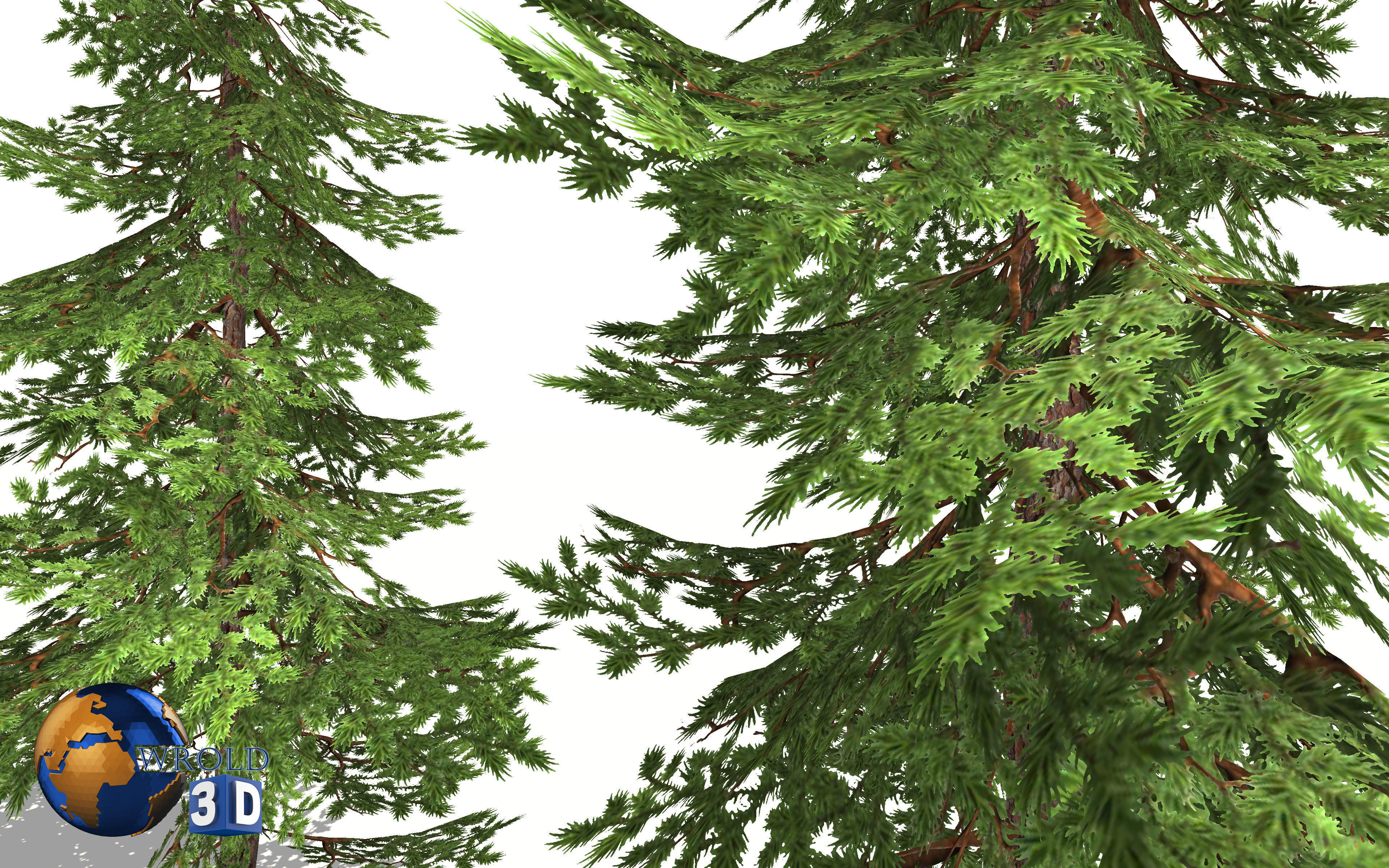 pine tree lowpoly 3d model Low-poly 3D model_4