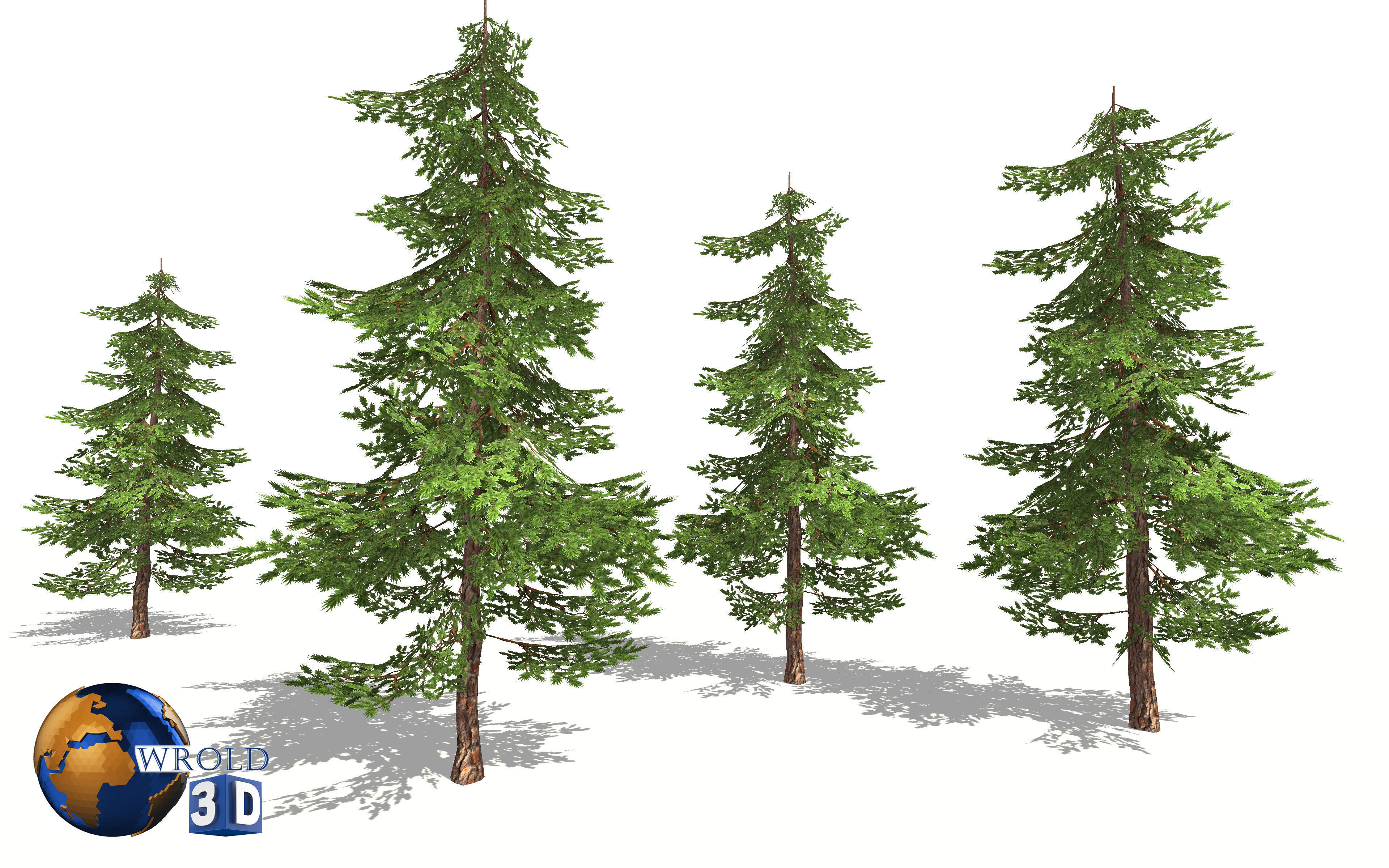 pine tree lowpoly 3d model Low-poly 3D model_2