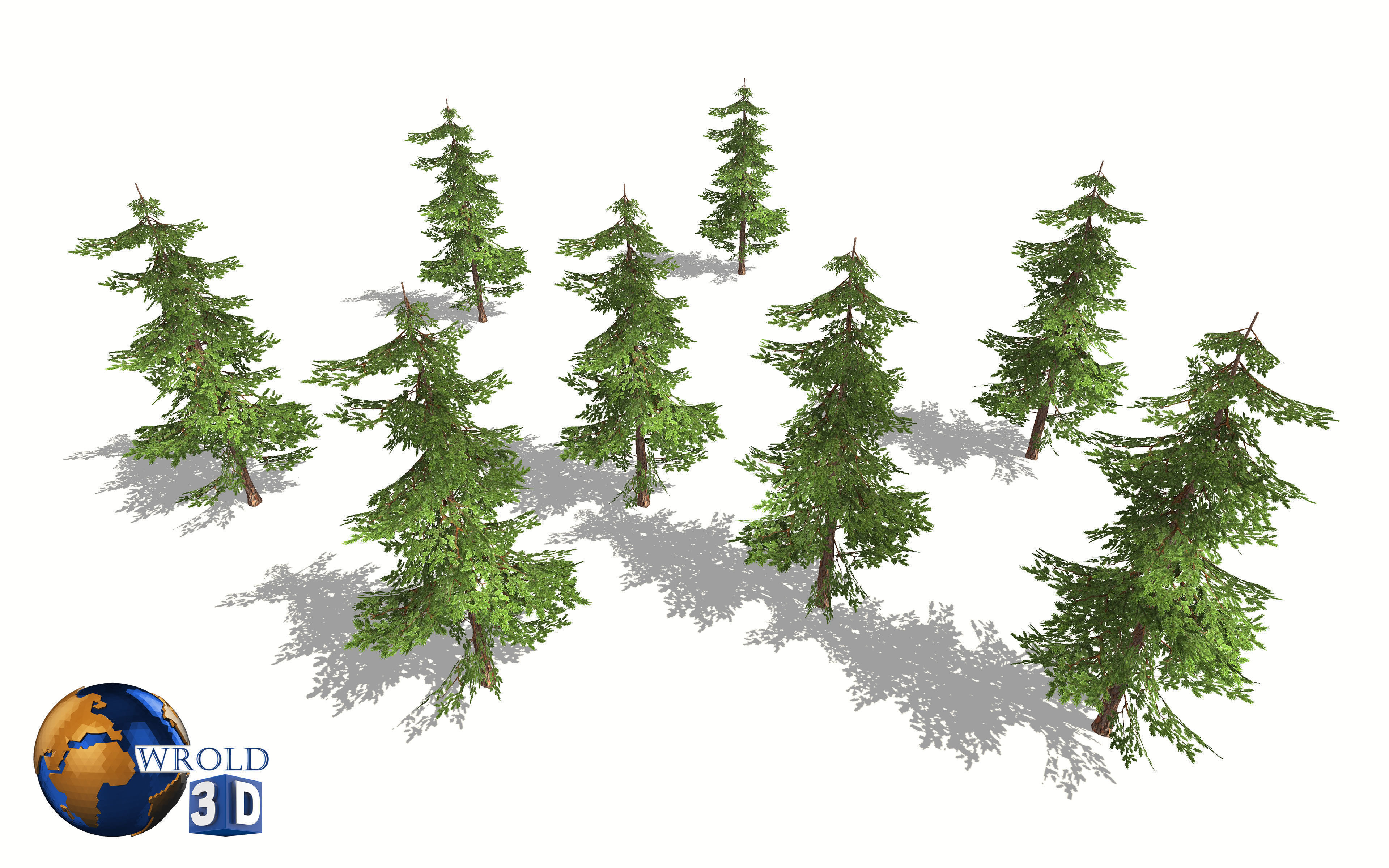 pine tree lowpoly 3d model Low-poly 3D model_5
