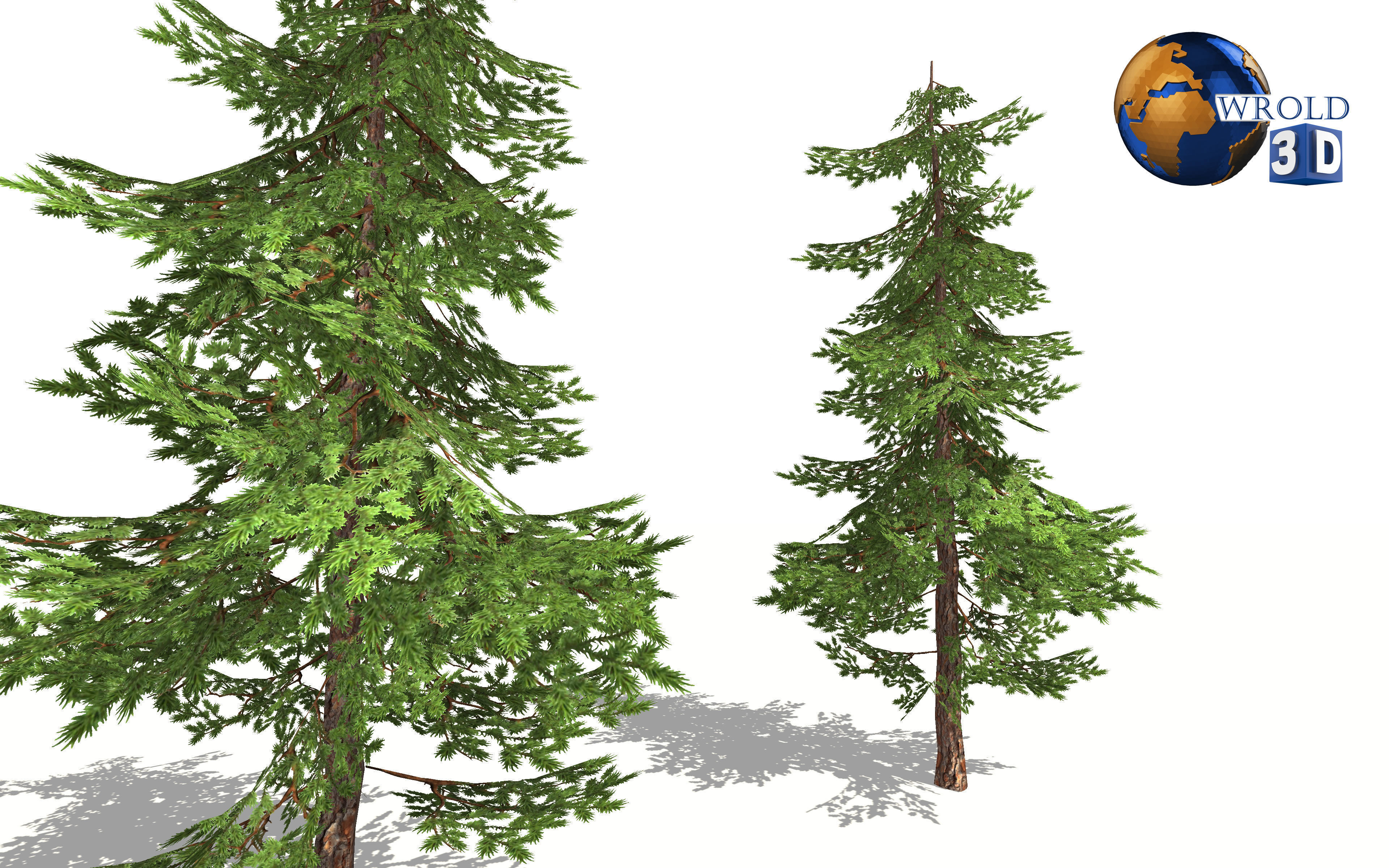 pine tree lowpoly 3d model Low-poly 3D model_1