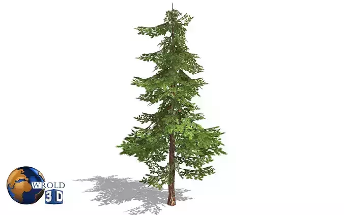 pine tree lowpoly 3d model Low-poly 3D model