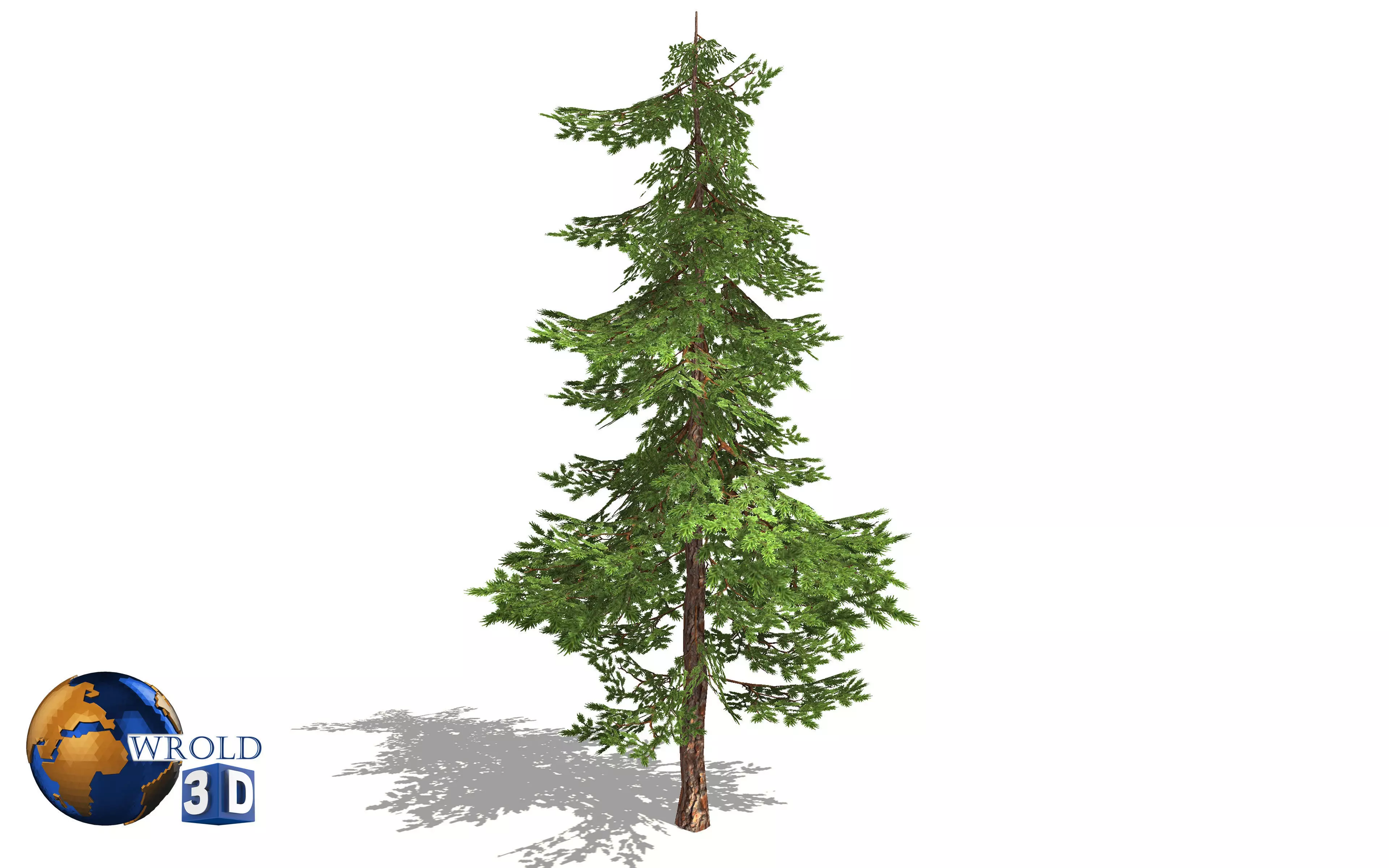 pine tree lowpoly 3d model Low-poly 3D model_0