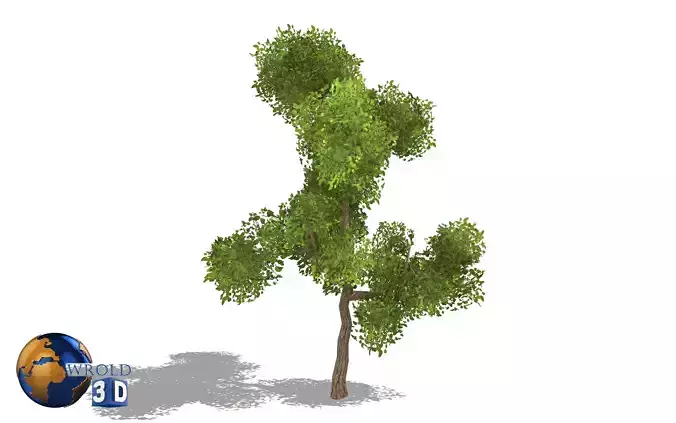 Realistic green tree lowpoly 3d model