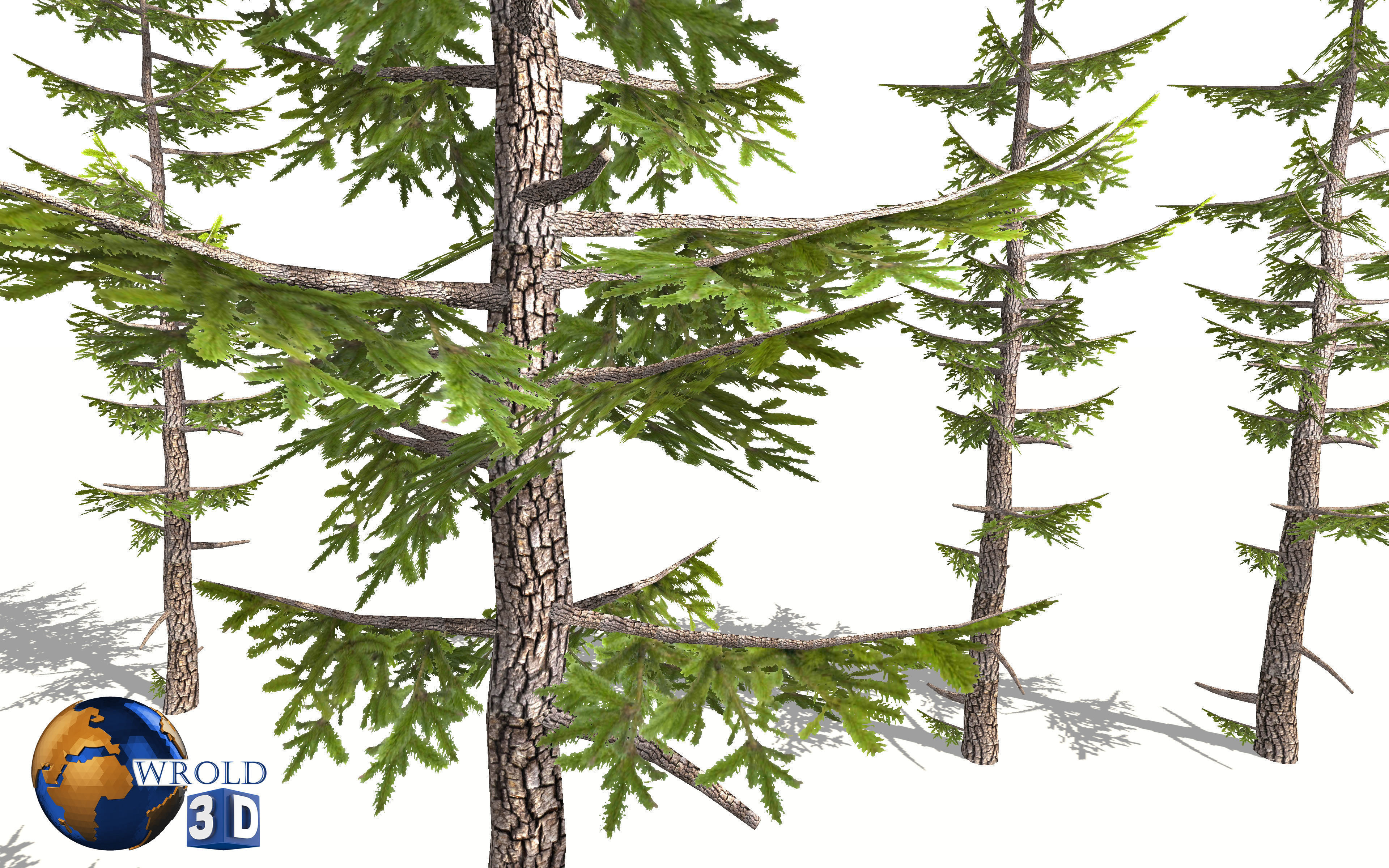 Lowpoly Forest Pine Tree 3D Model Low-poly 3D model_3